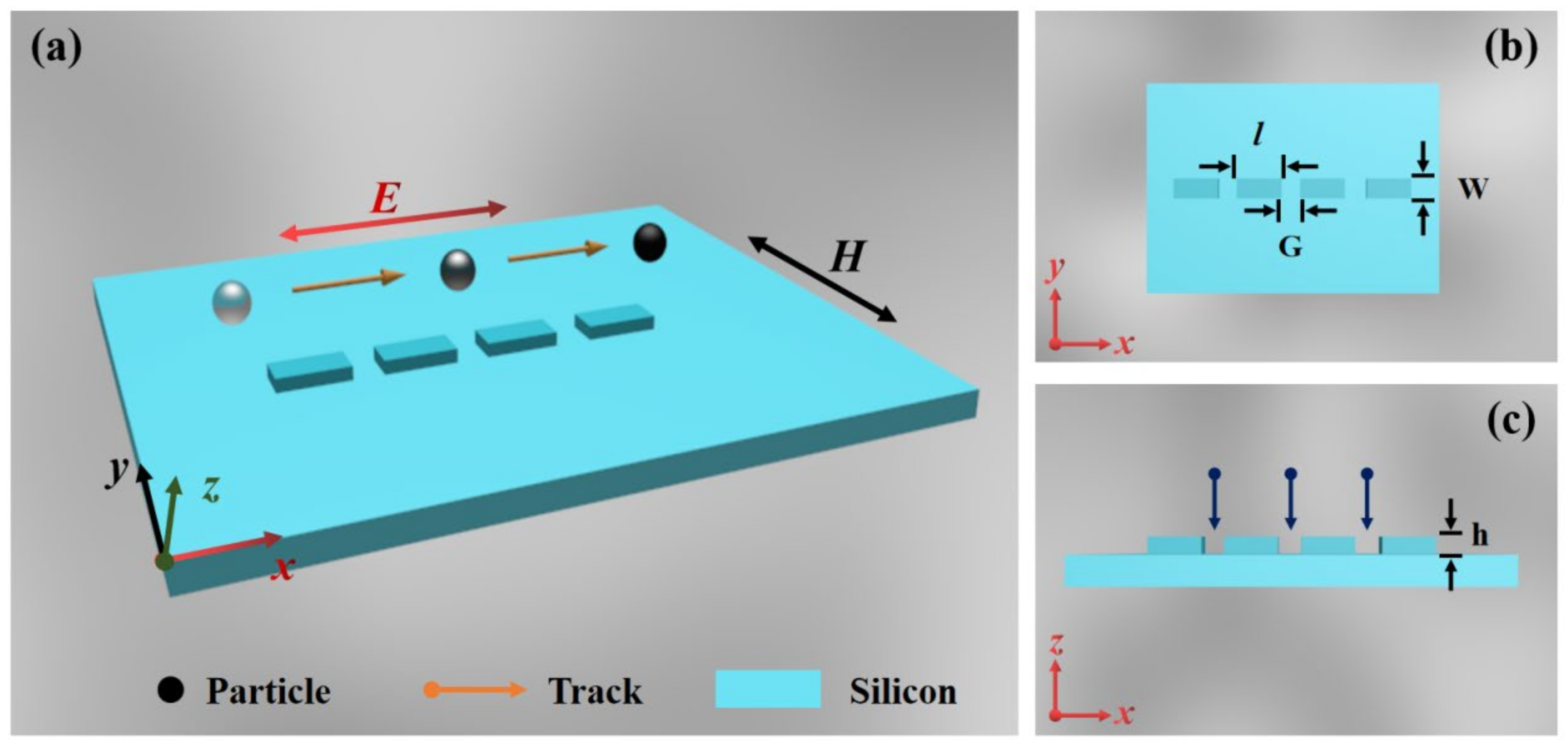 Coatings 13 01388 g001