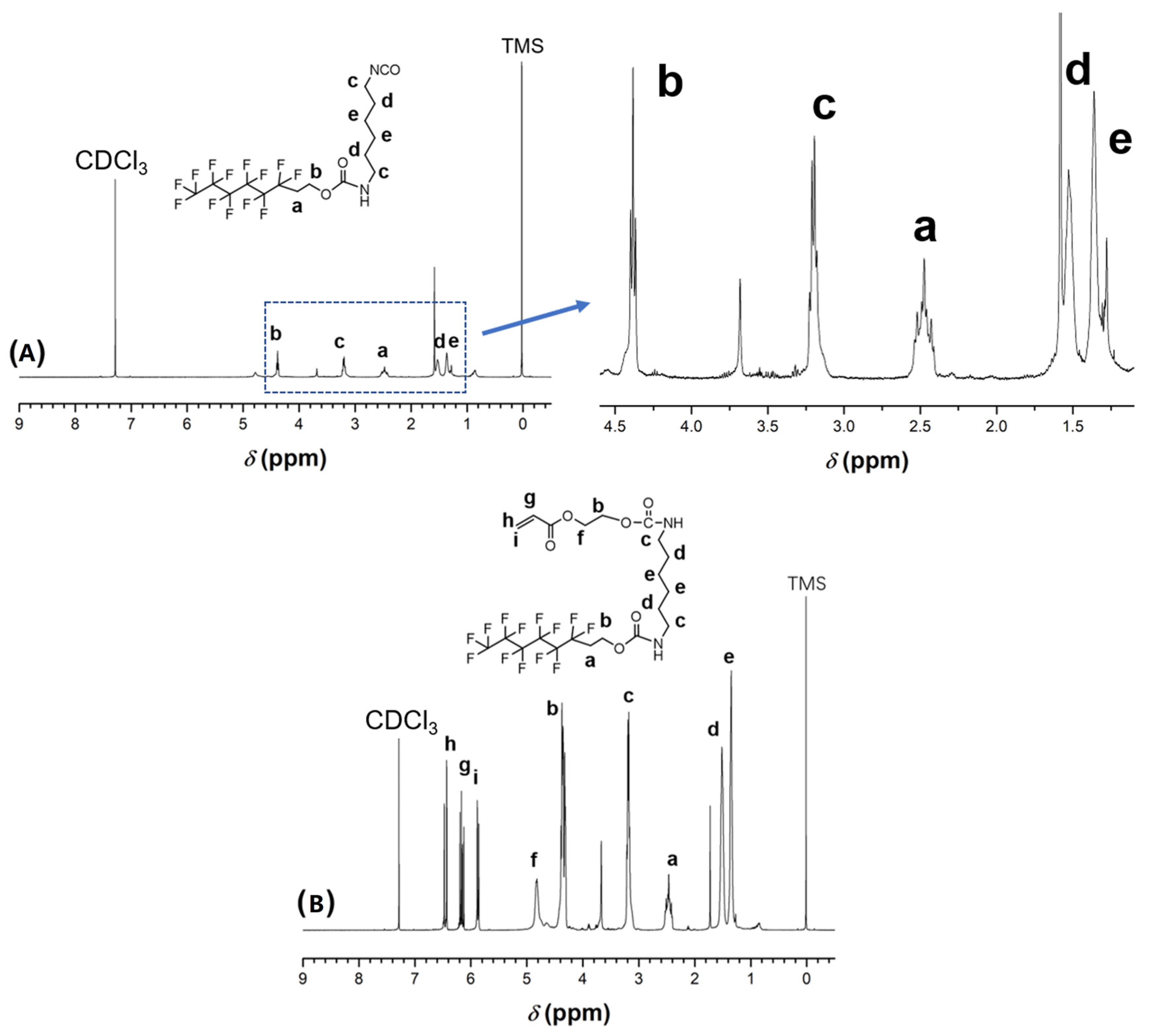 Coatings 13 01394 g005