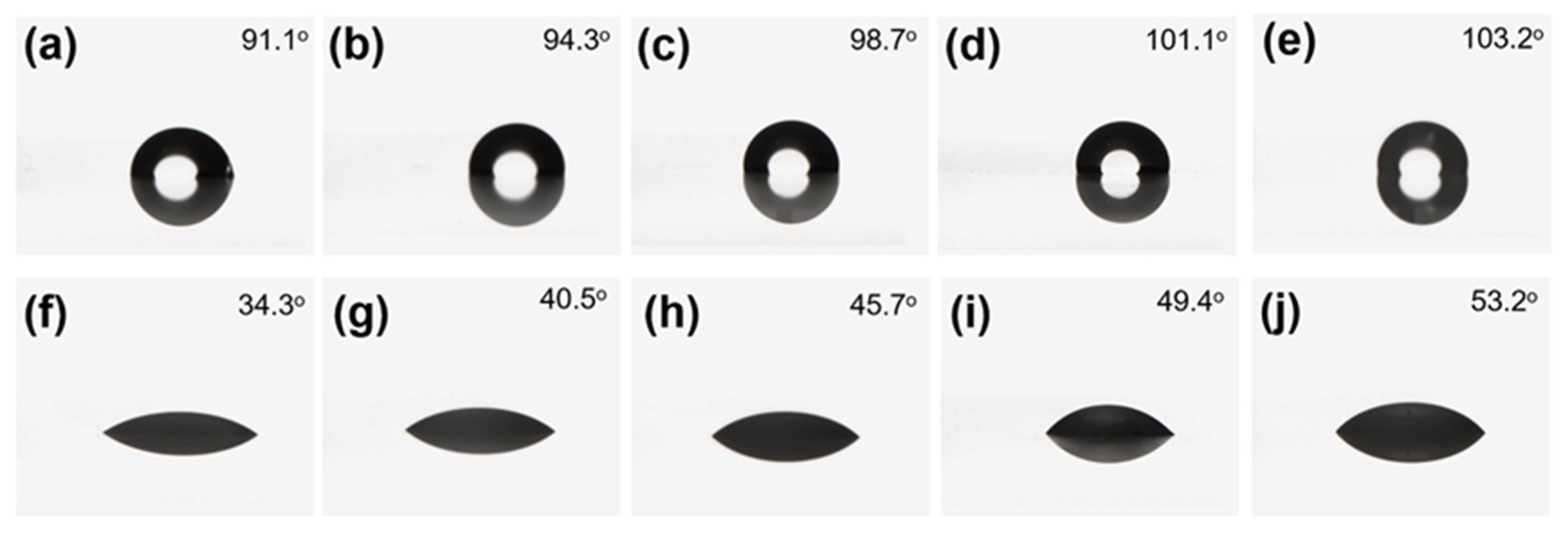 Coatings 13 01394 g014