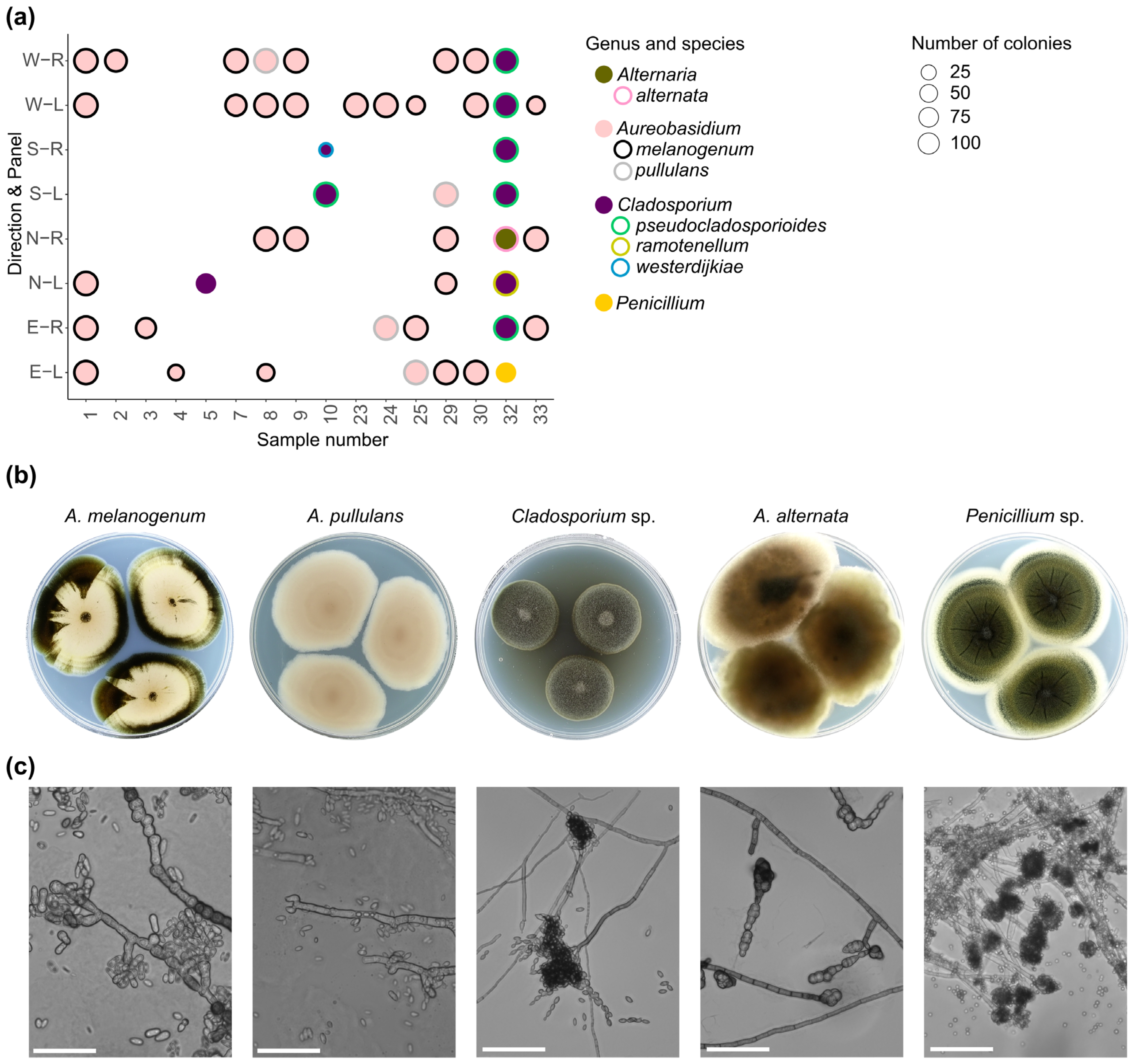 Coatings 13 01413 g004