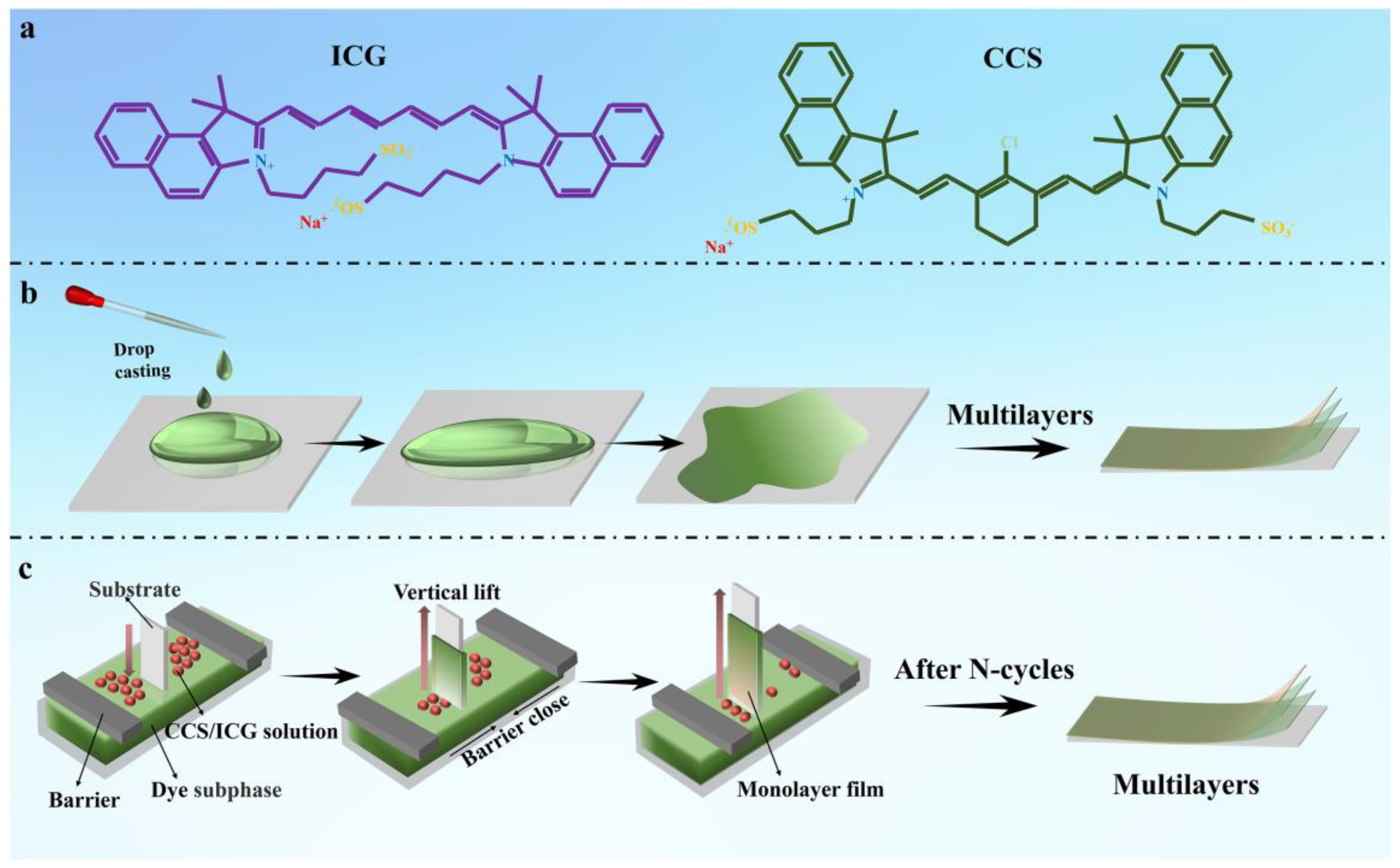 Coatings 13 01423 g001