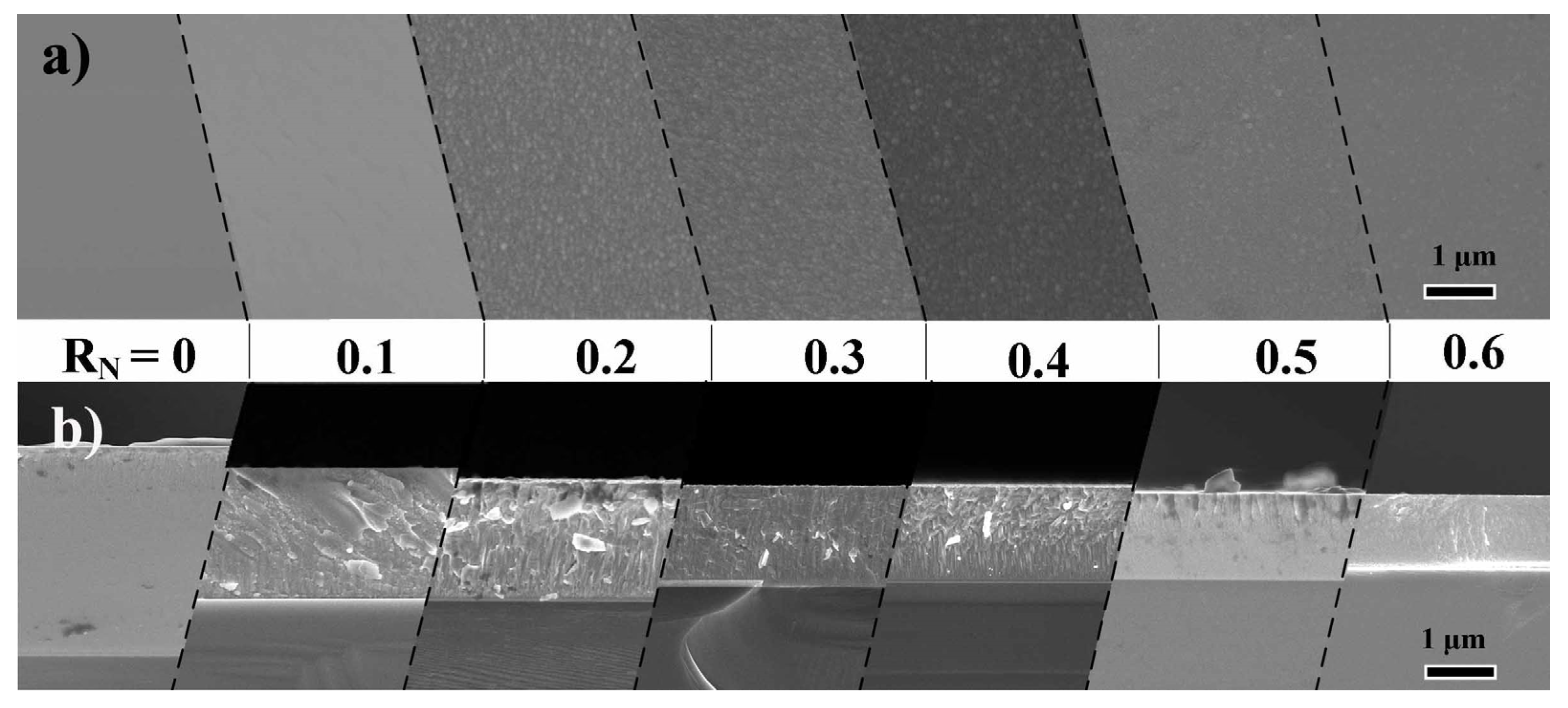Coatings 13 01424 g004