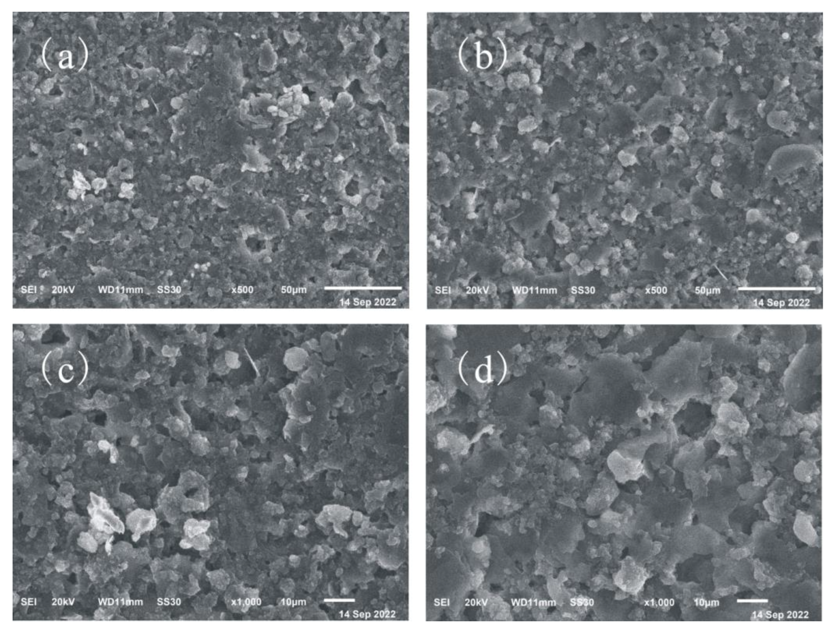 Coatings 13 01428 g002