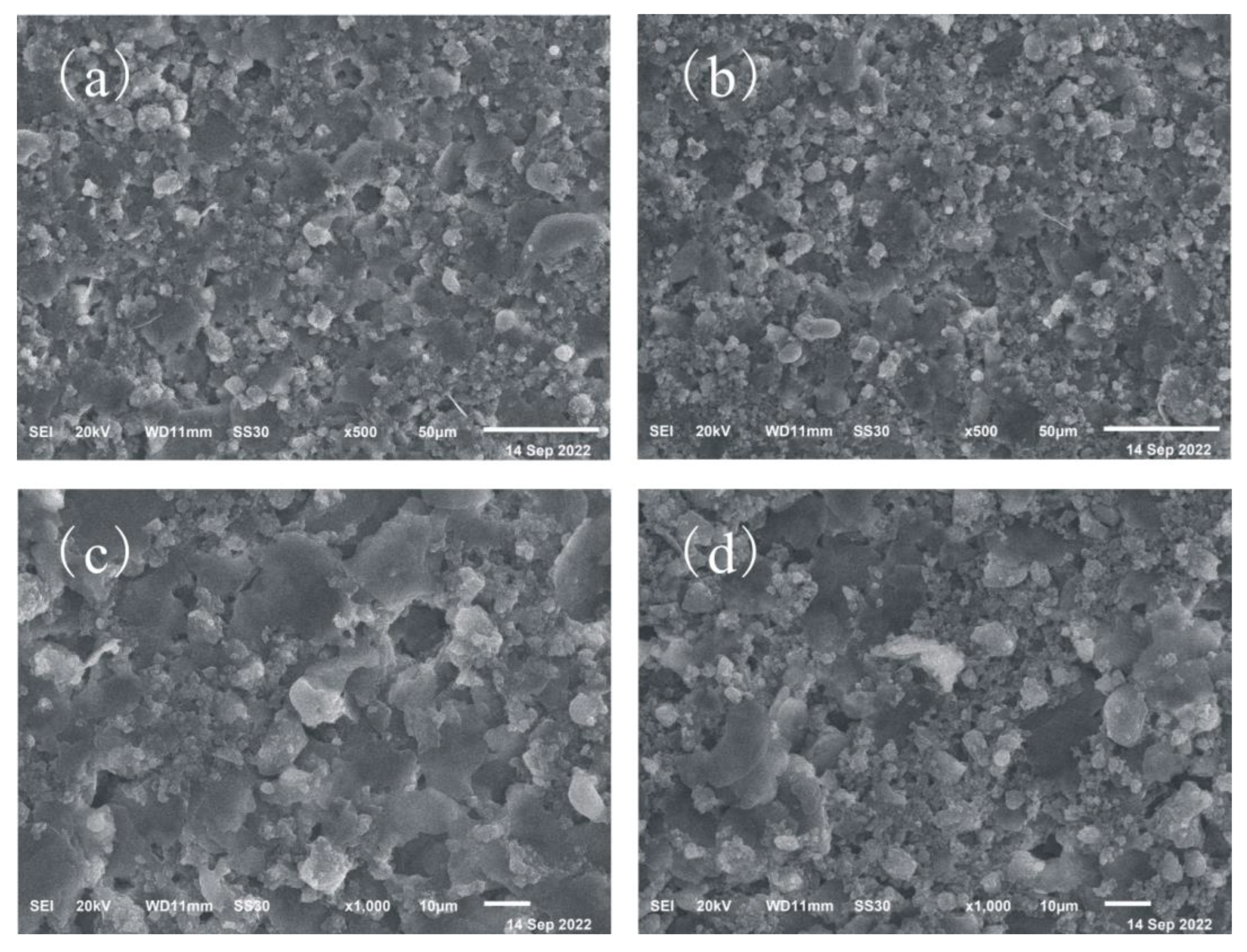 Coatings 13 01428 g004