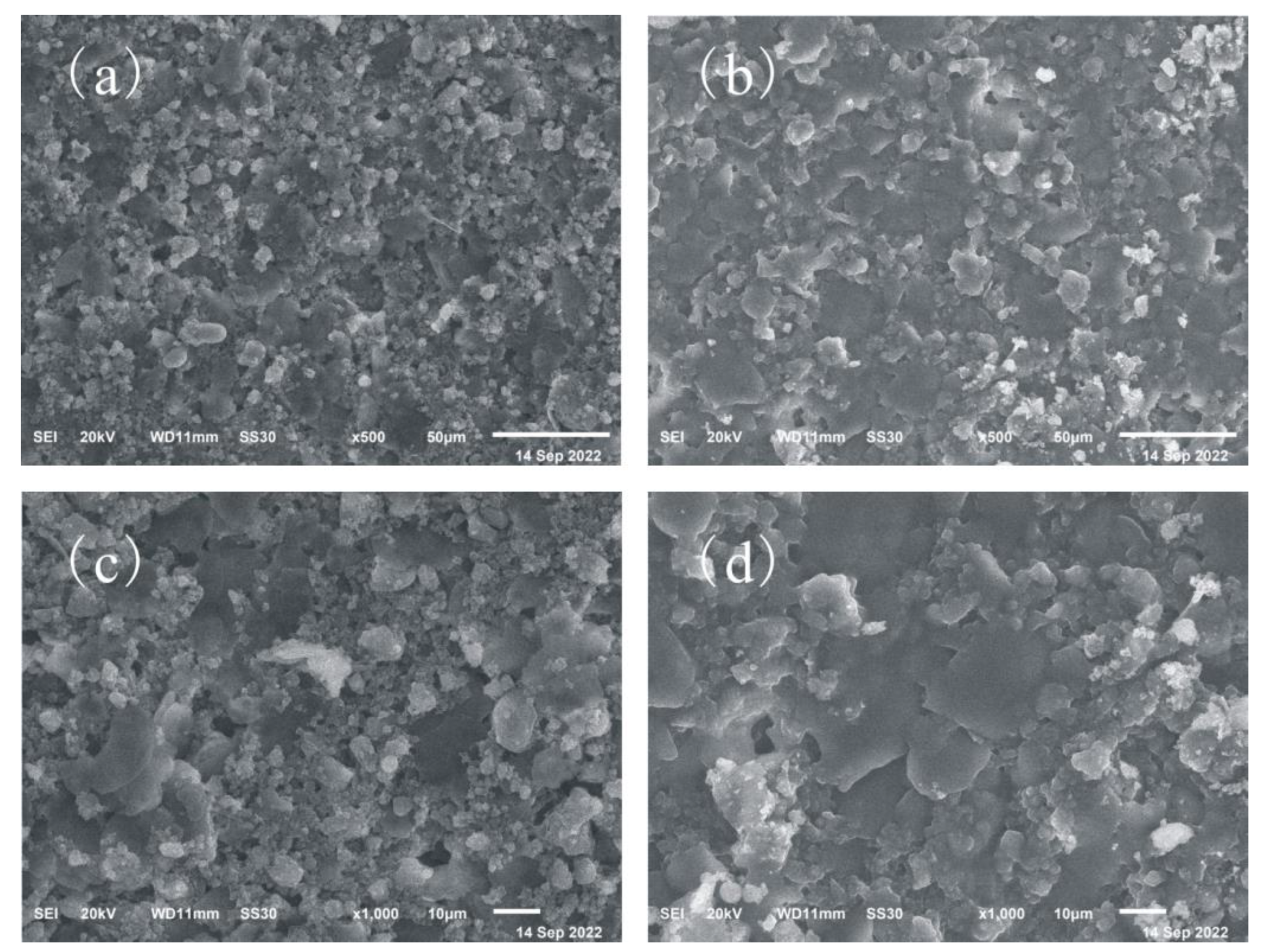 Coatings 13 01428 g006