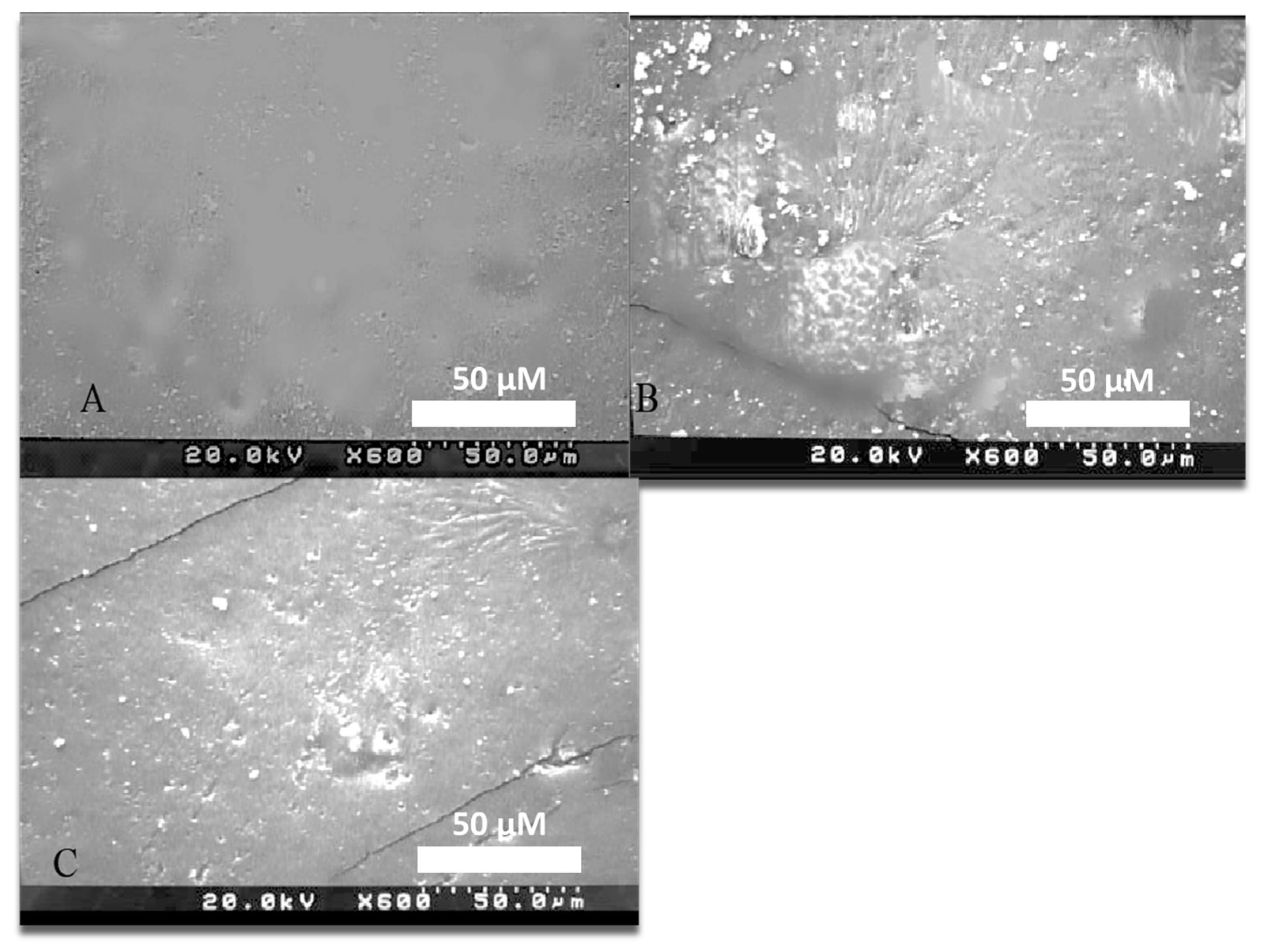 Coatings 13 01429 g001 Coatings 13 01429 g001