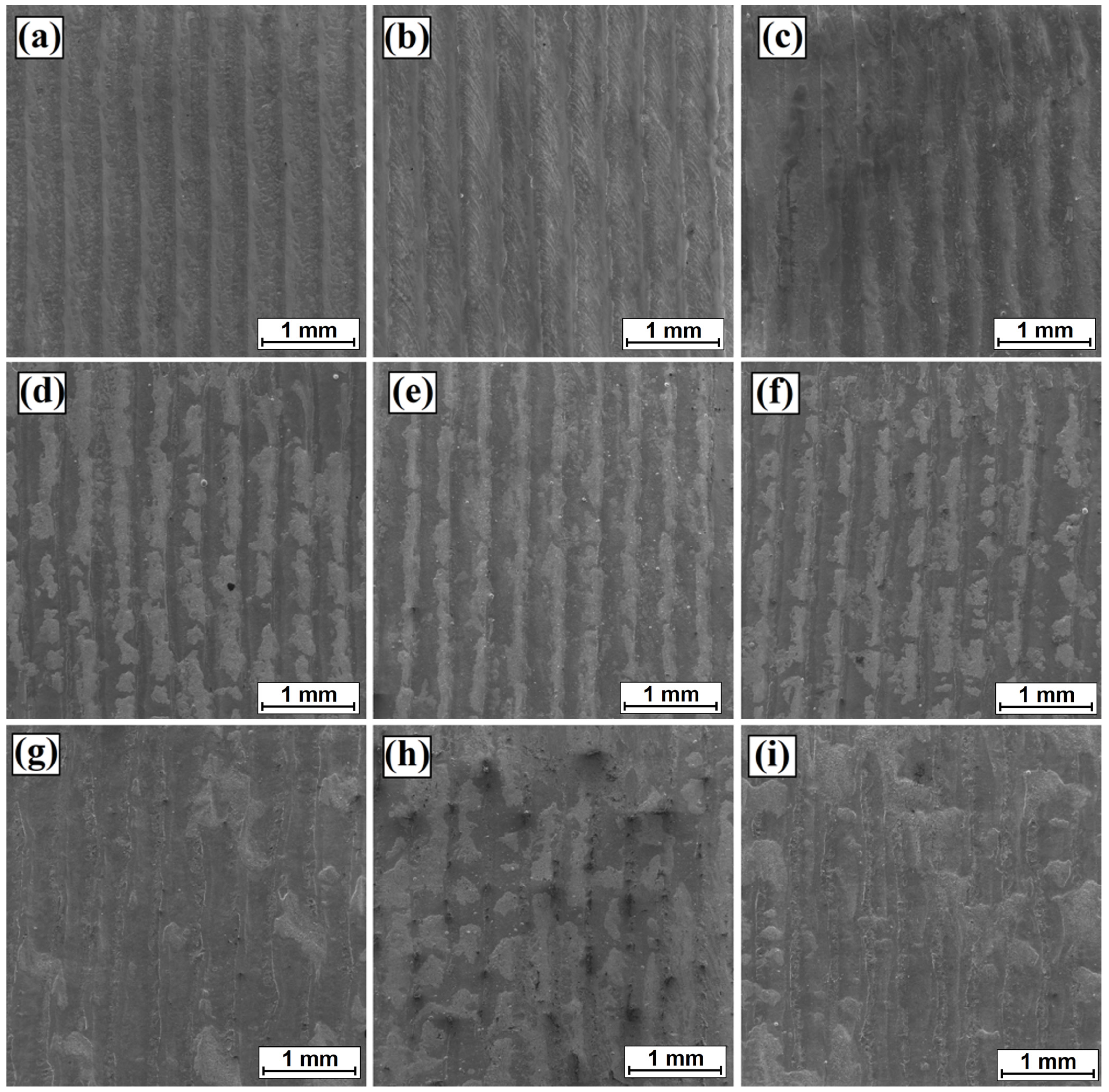 Coatings 13 01432 g003