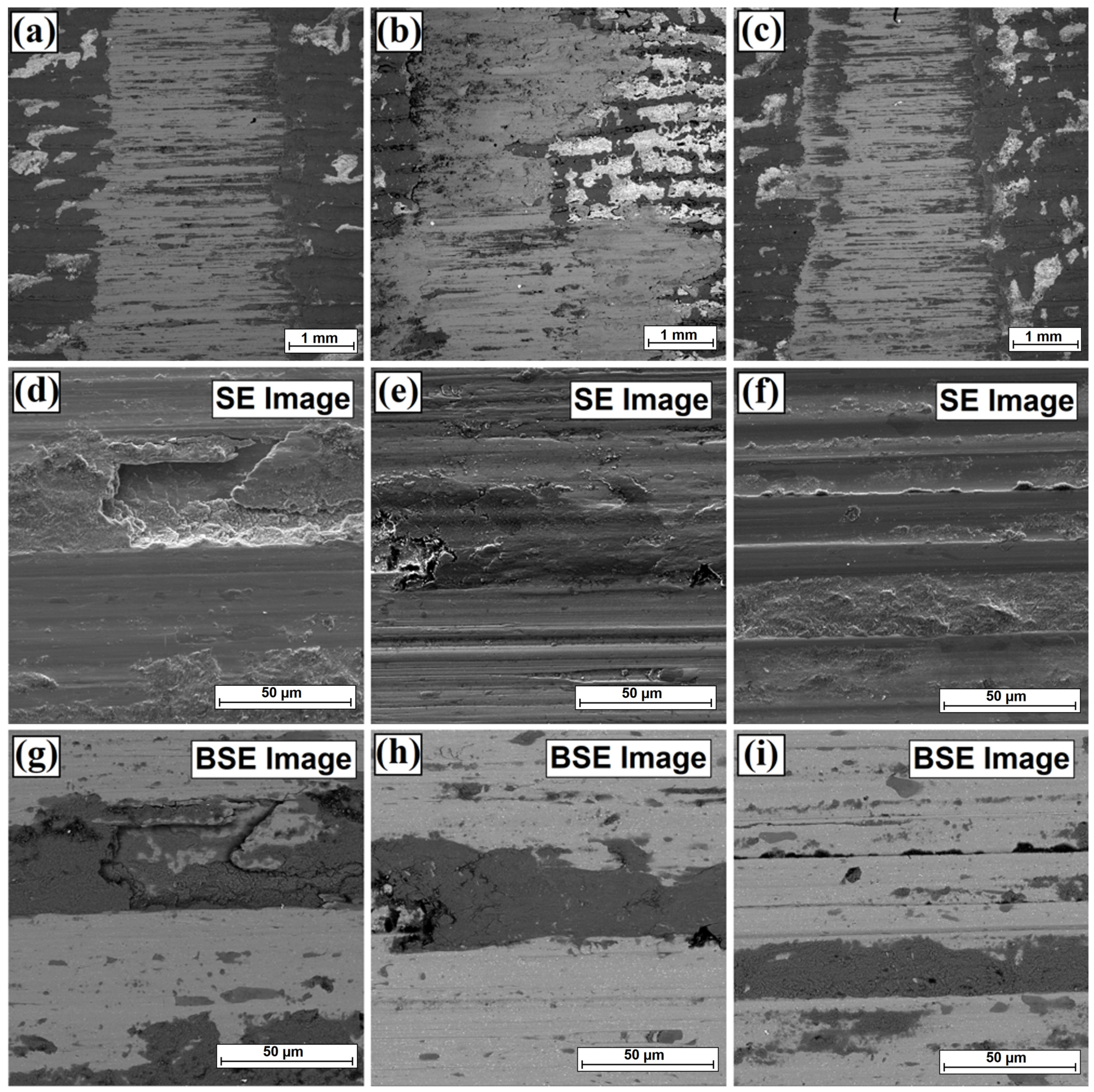 Coatings 13 01432 g015