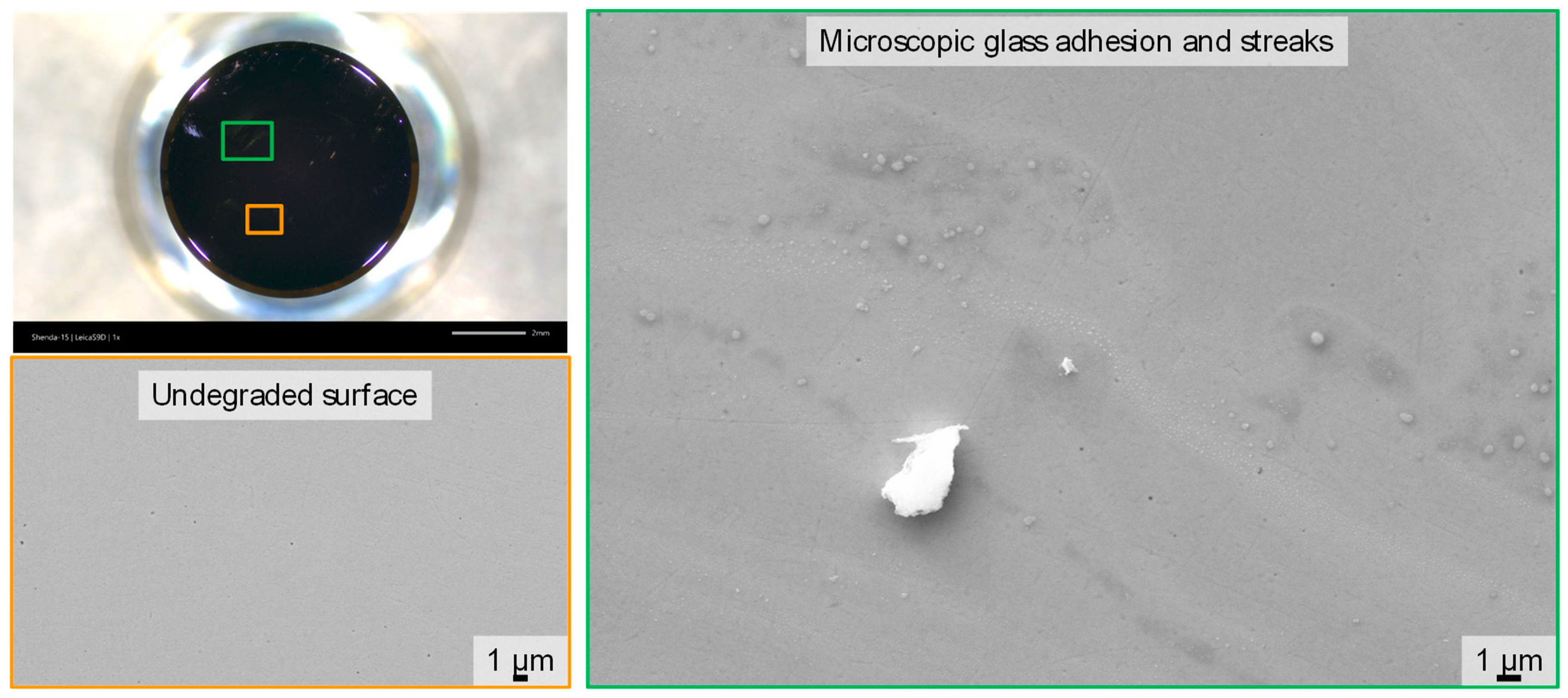 Coatings 13 01438 g006