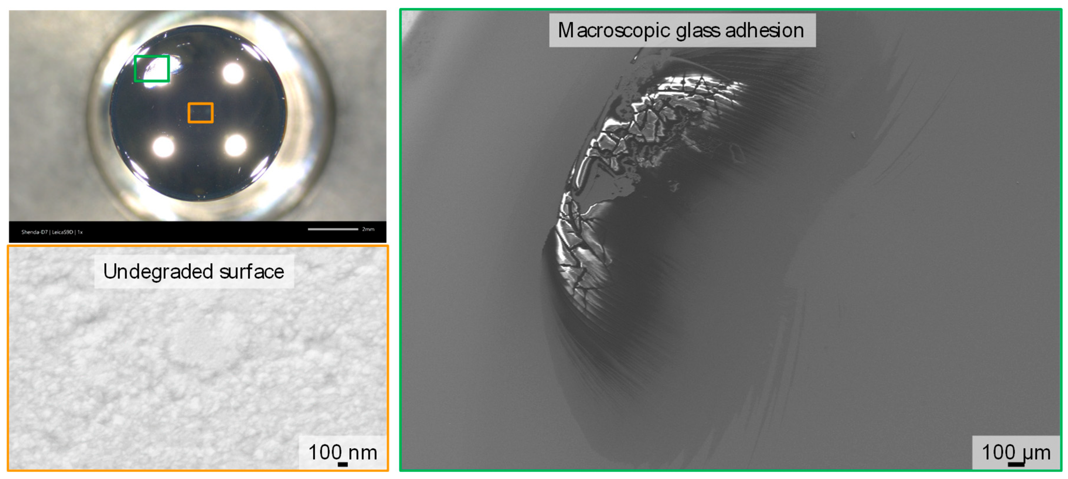 Coatings 13 01438 g009
