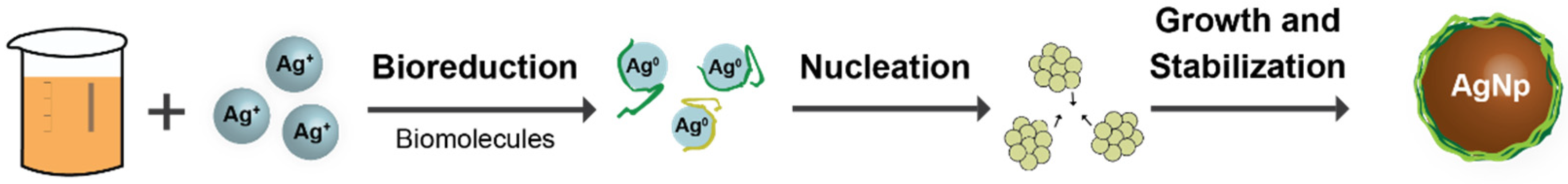 Coatings 13 01439 g002
