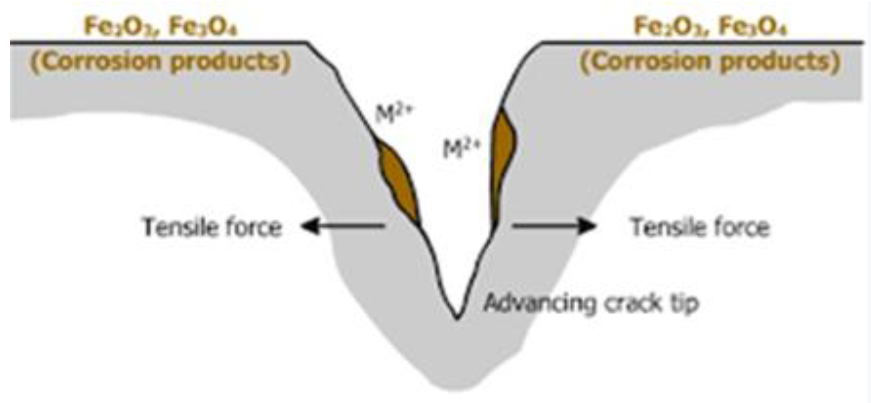 Coatings 13 01443 g009