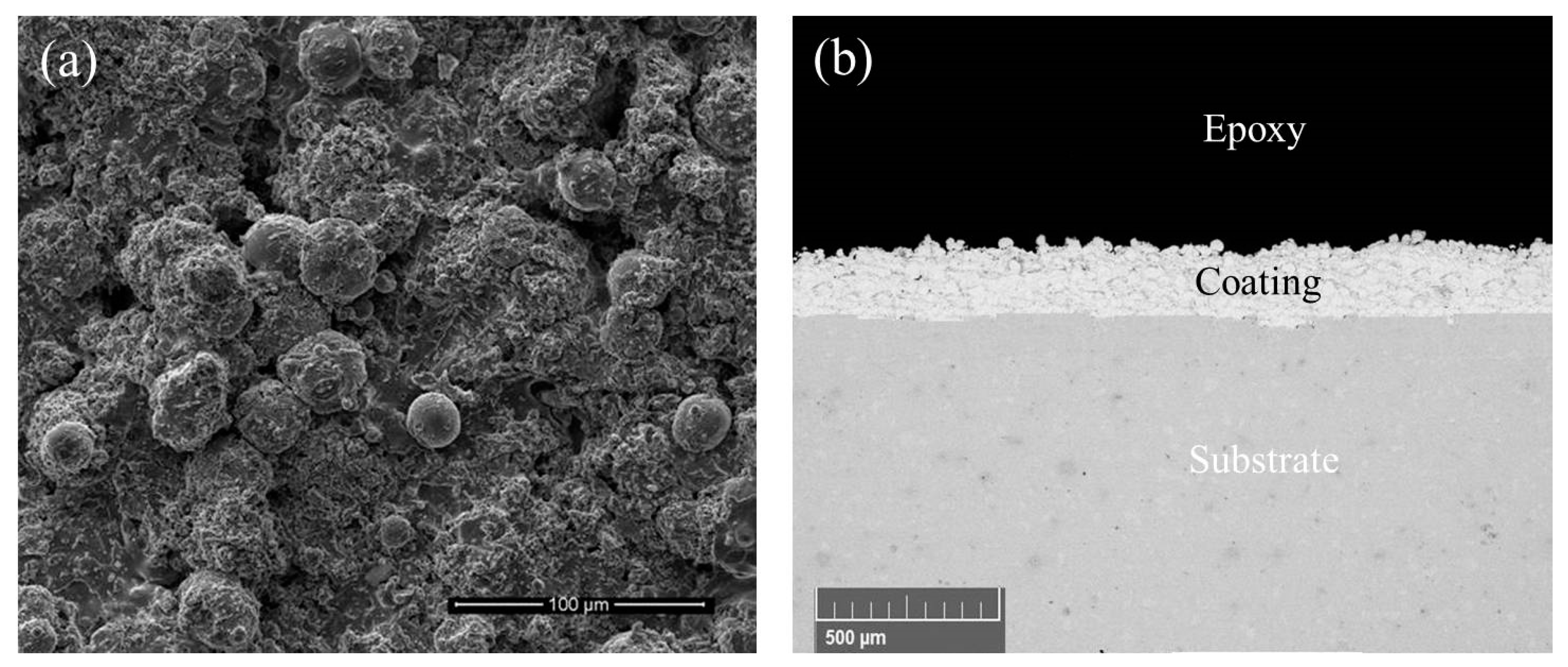 Coatings 13 01444 g002a