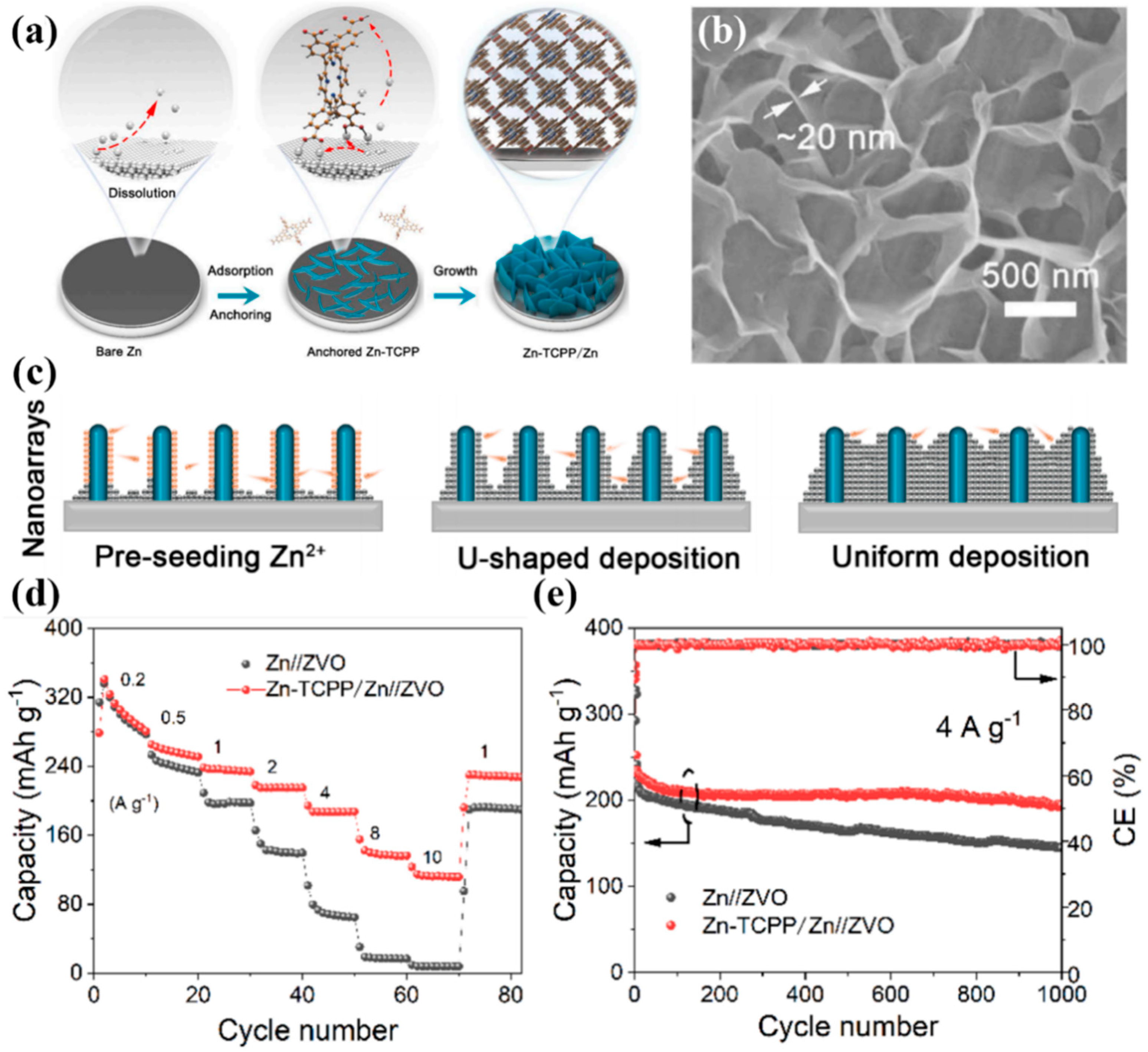 Coatings 13 01457 g003