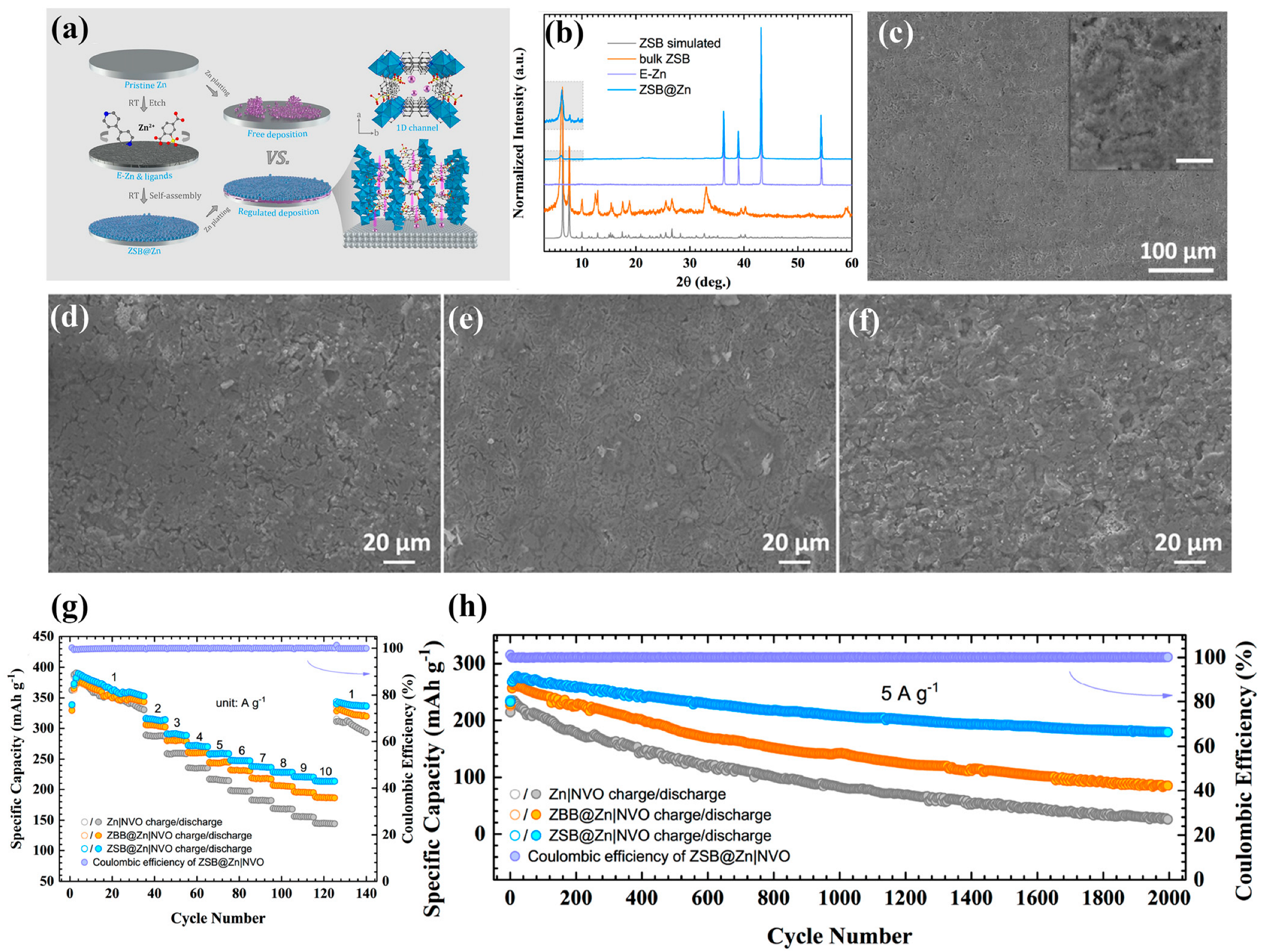 Coatings 13 01457 g004