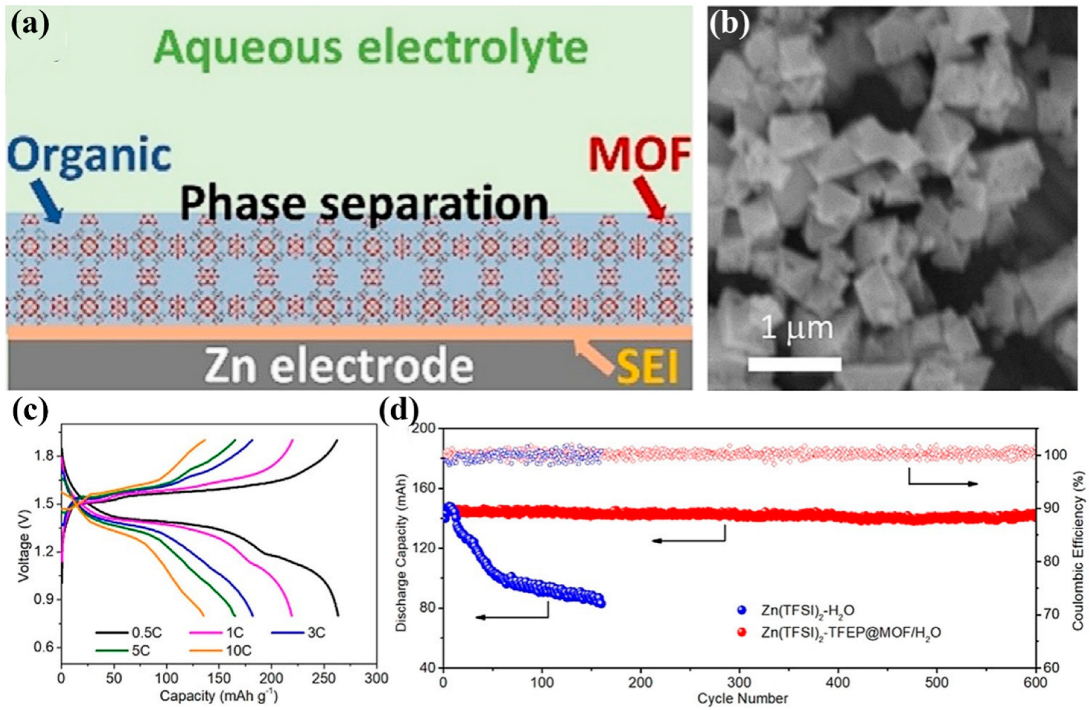 Coatings 13 01457 g007