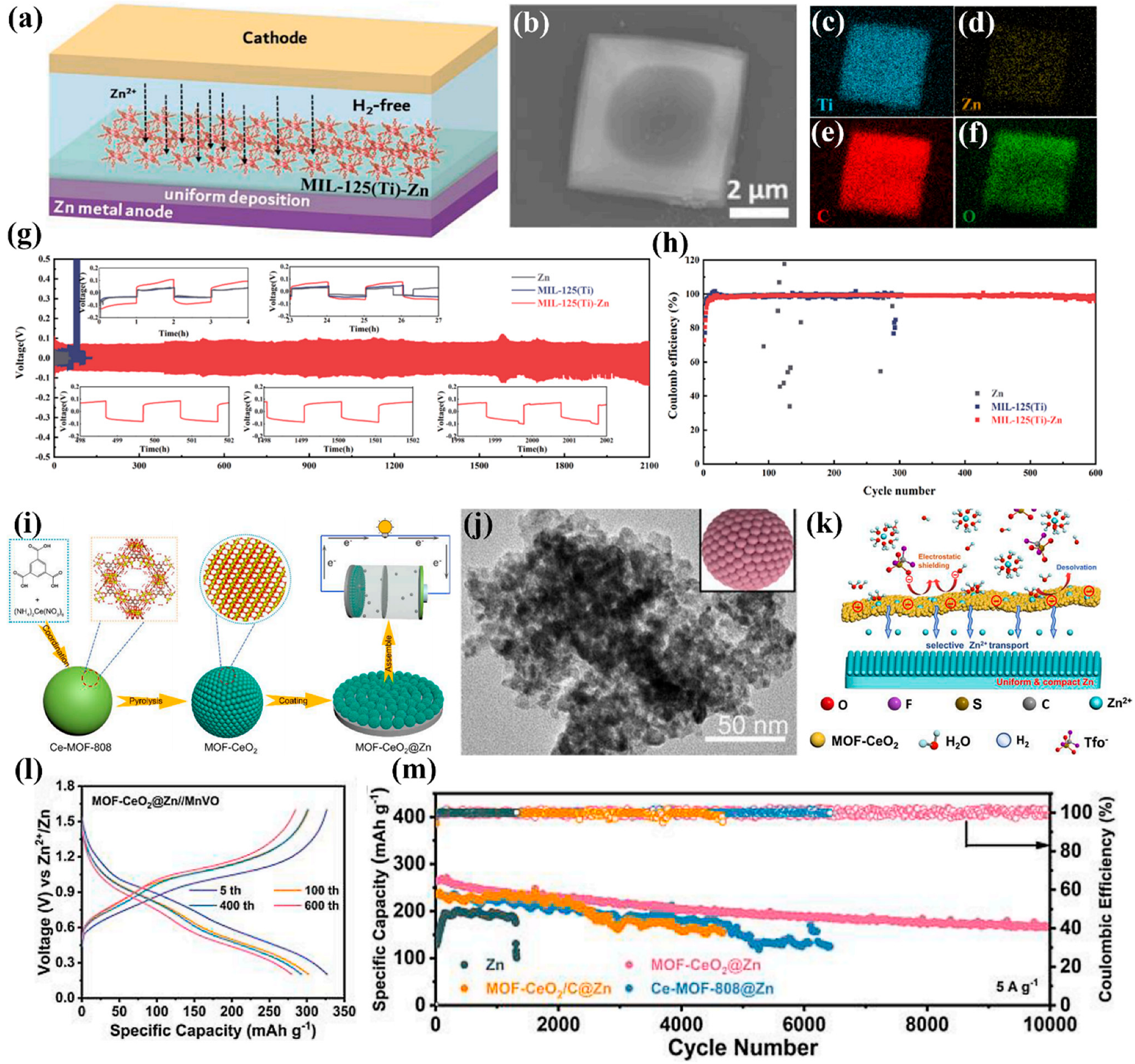 Coatings 13 01457 g008