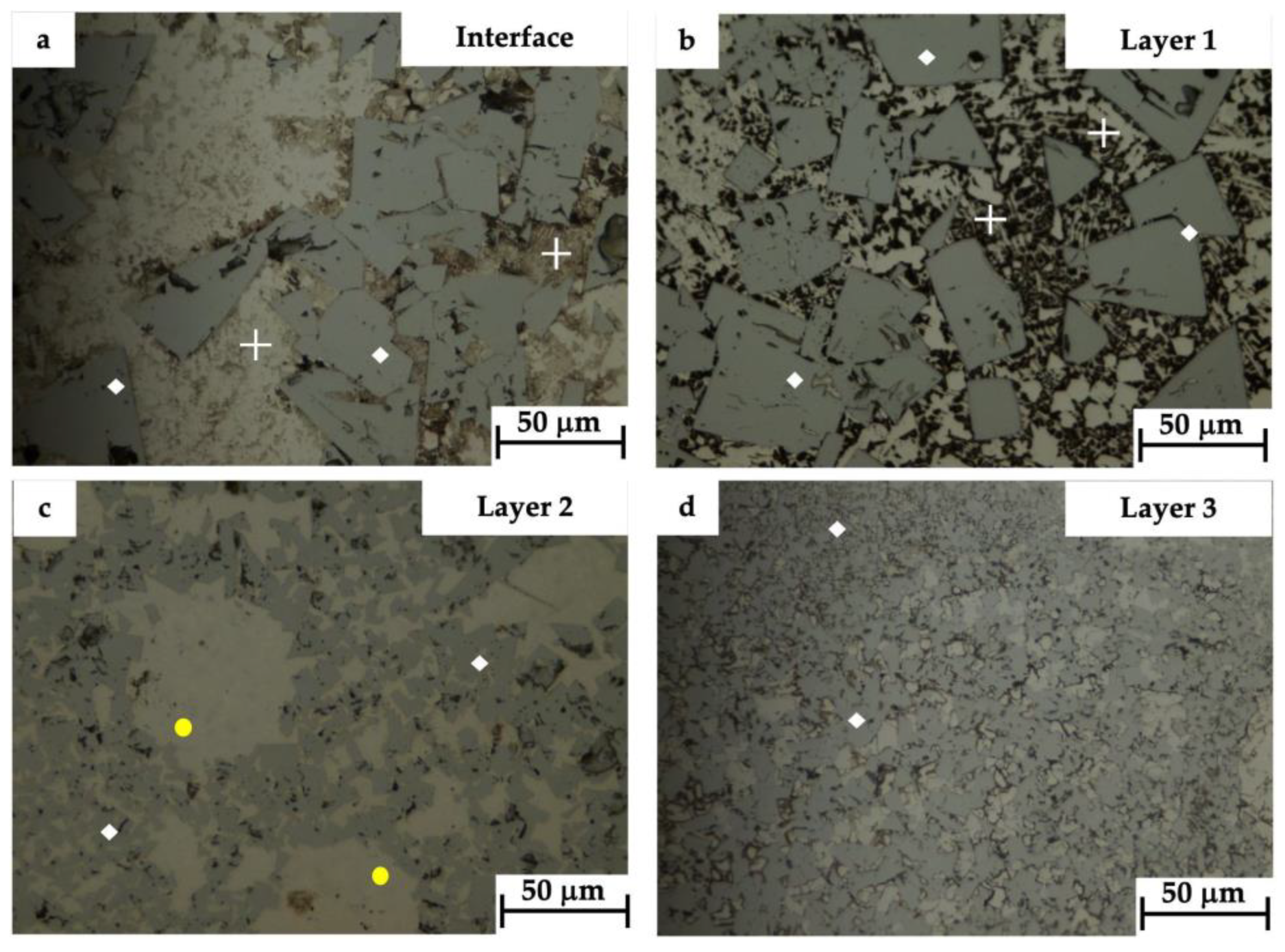 Coatings 13 01459 g005