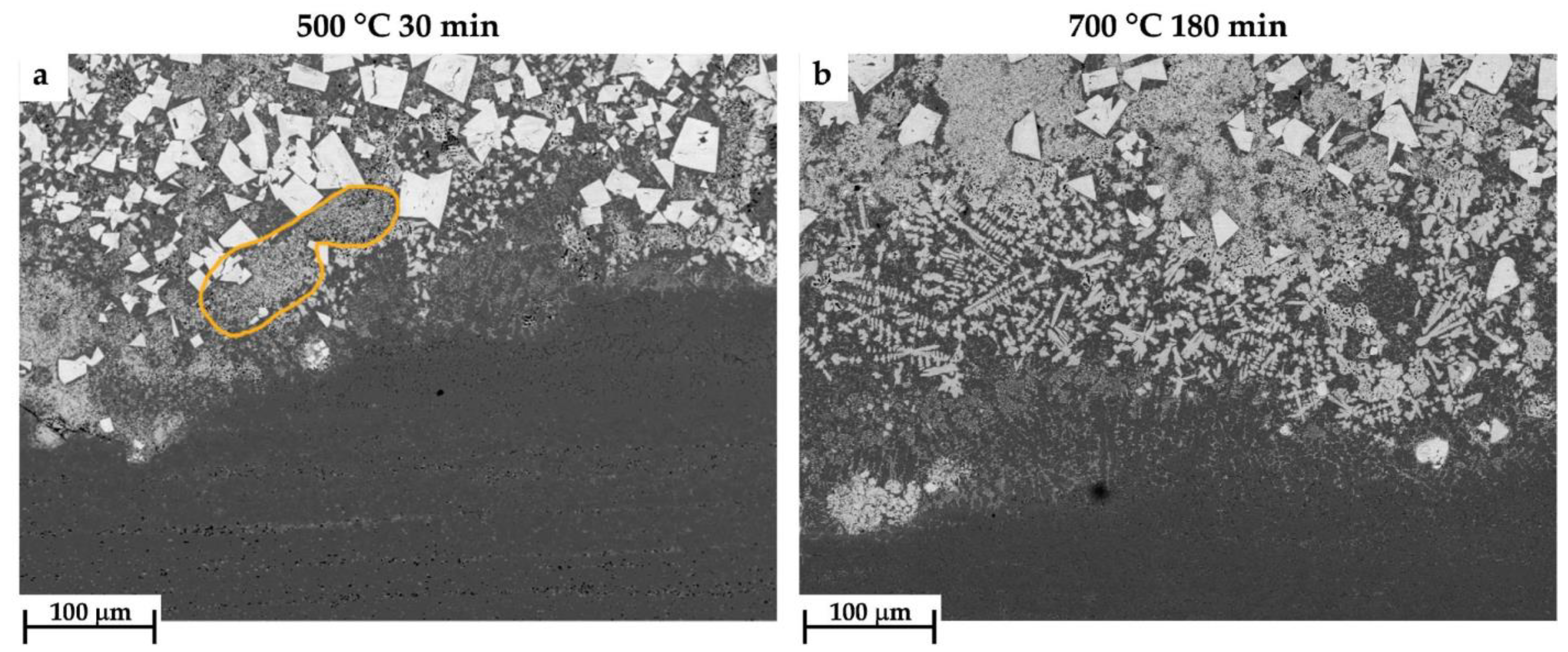 Coatings 13 01459 g012