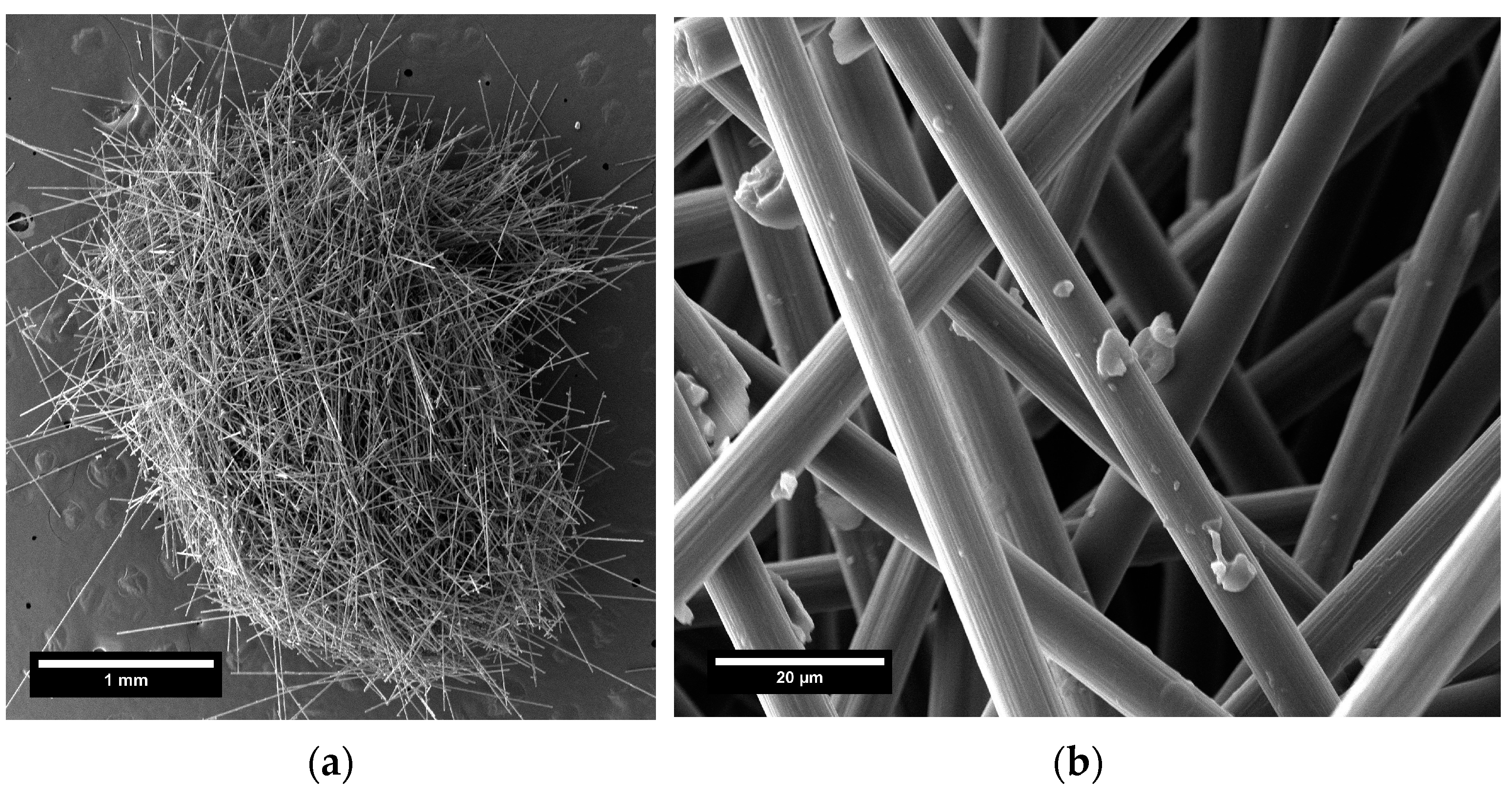 Coatings 13 01466 g002 Coatings 13 01466 g002