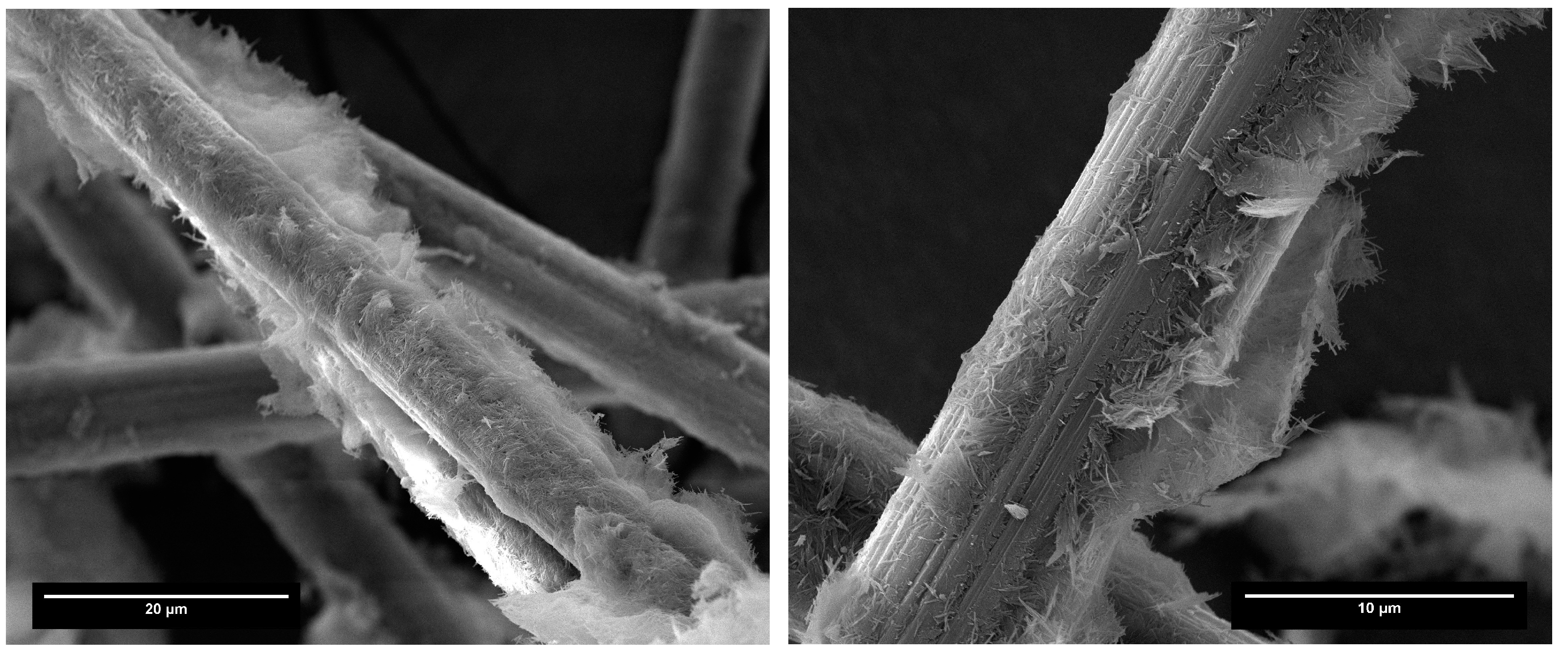 Coatings 13 01466 g011 Coatings 13 01466 g011