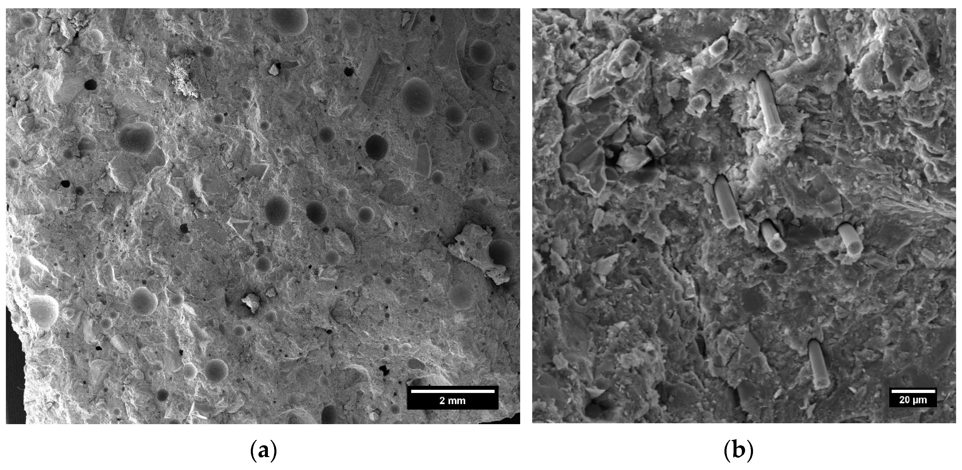 Coatings 13 01466 g021 Coatings 13 01466 g021