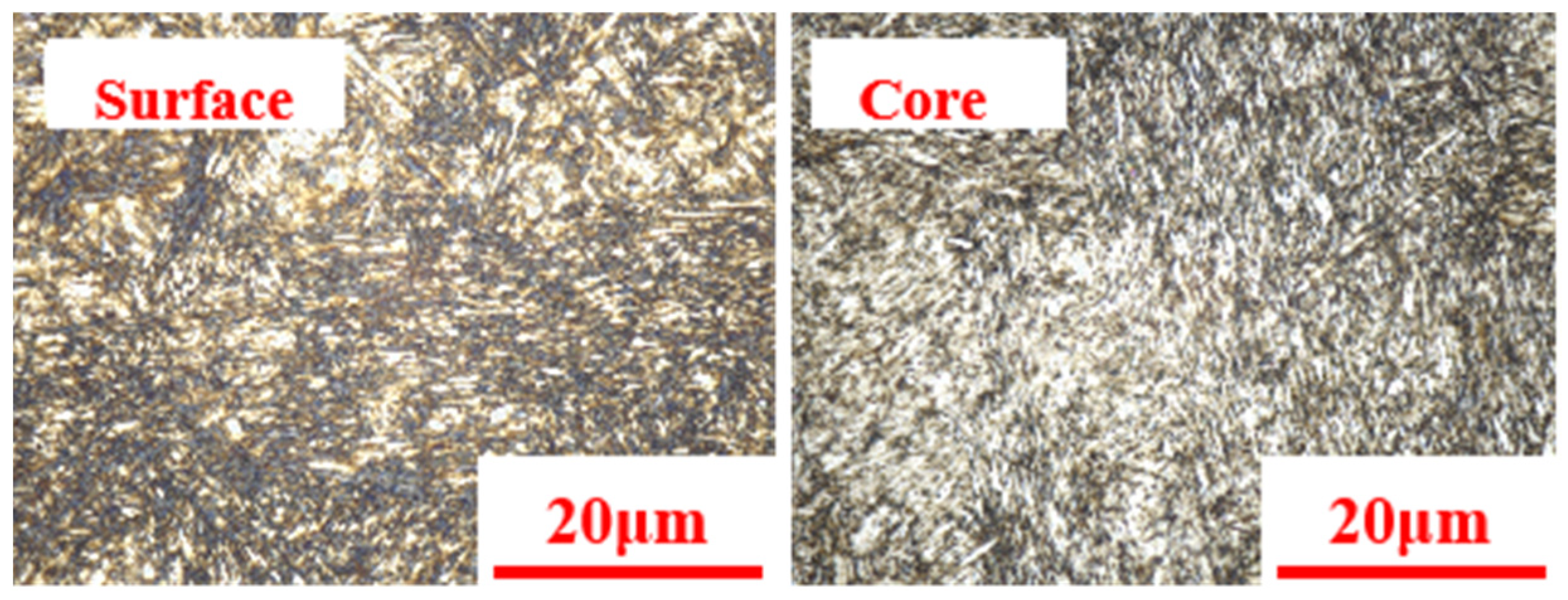 Coatings 13 01482 g008