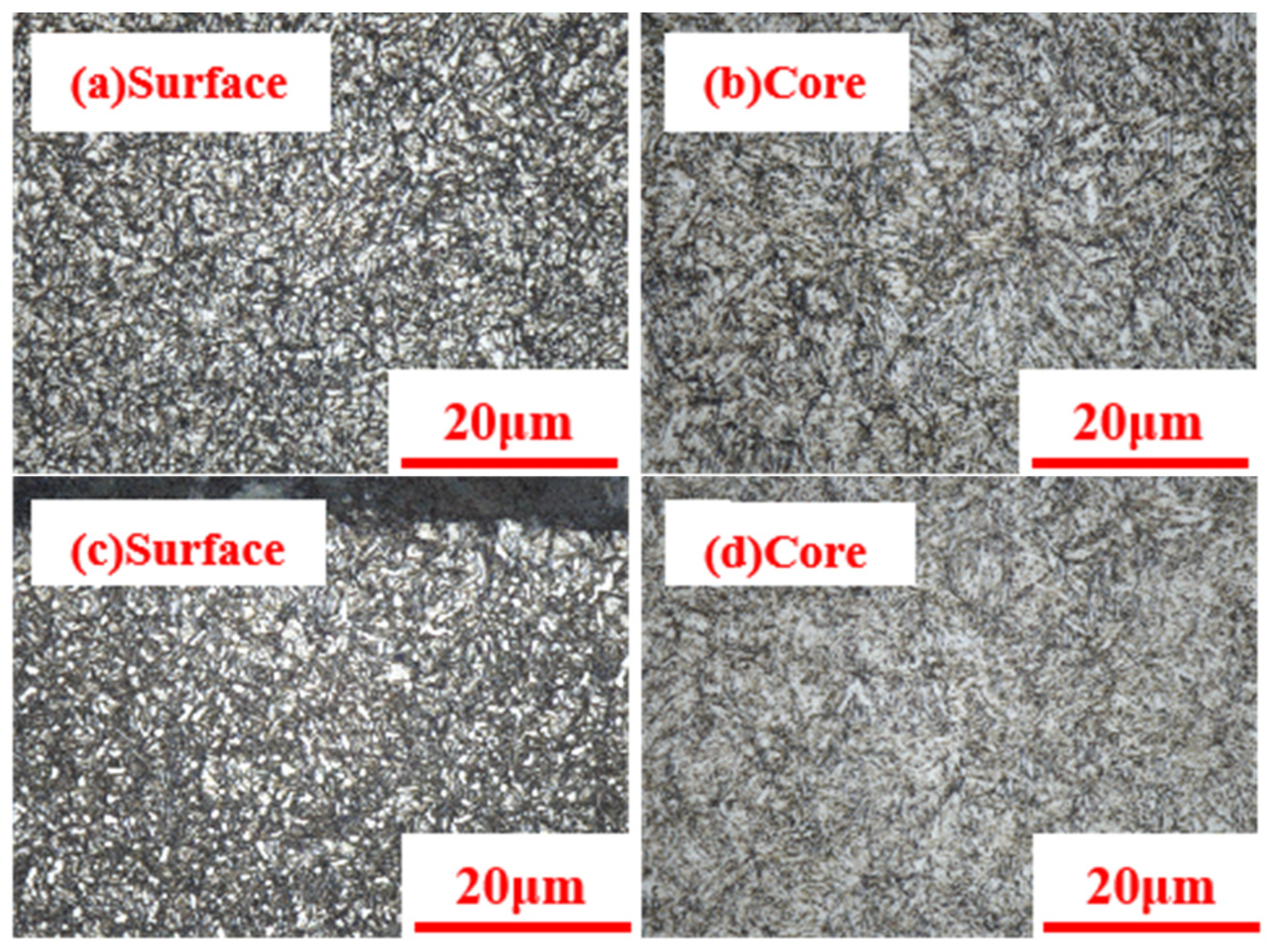 Coatings 13 01482 g010