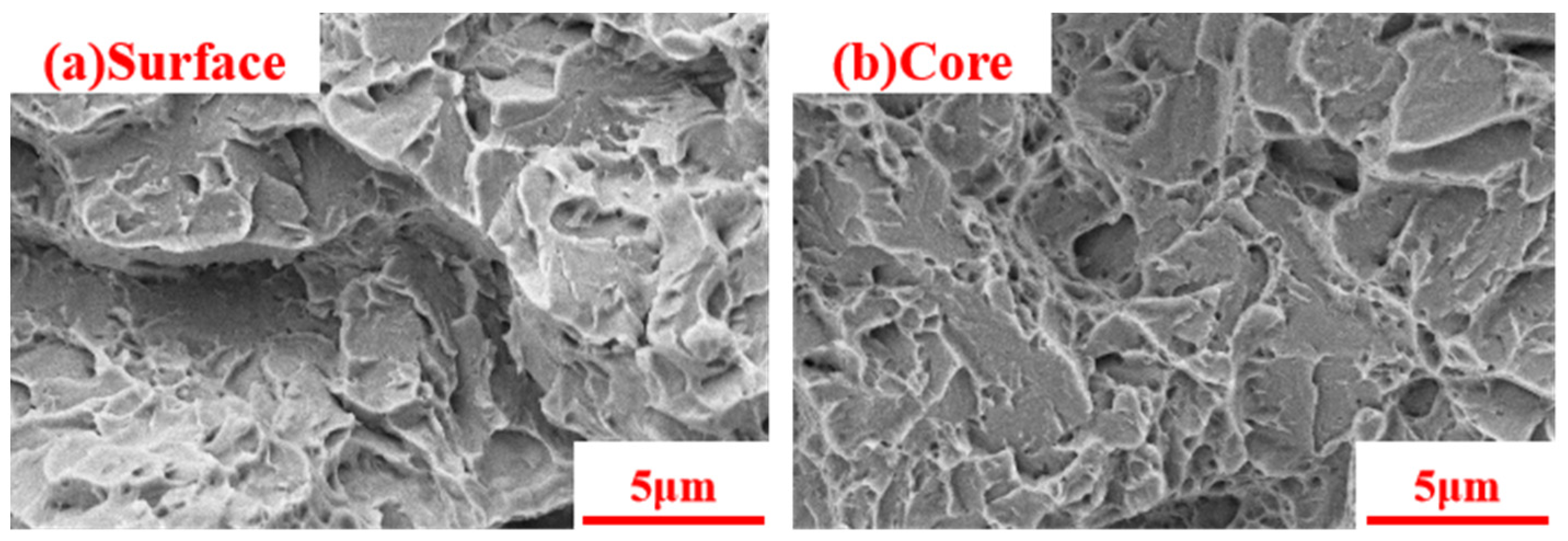 Coatings 13 01482 g014
