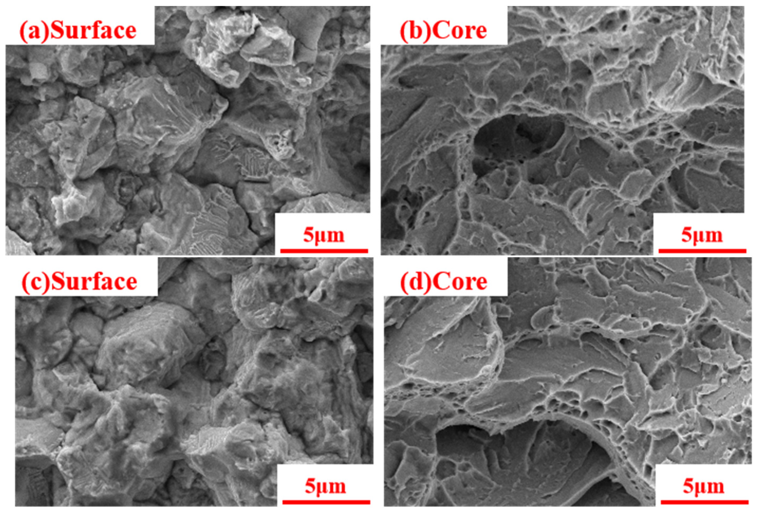 Coatings 13 01482 g017