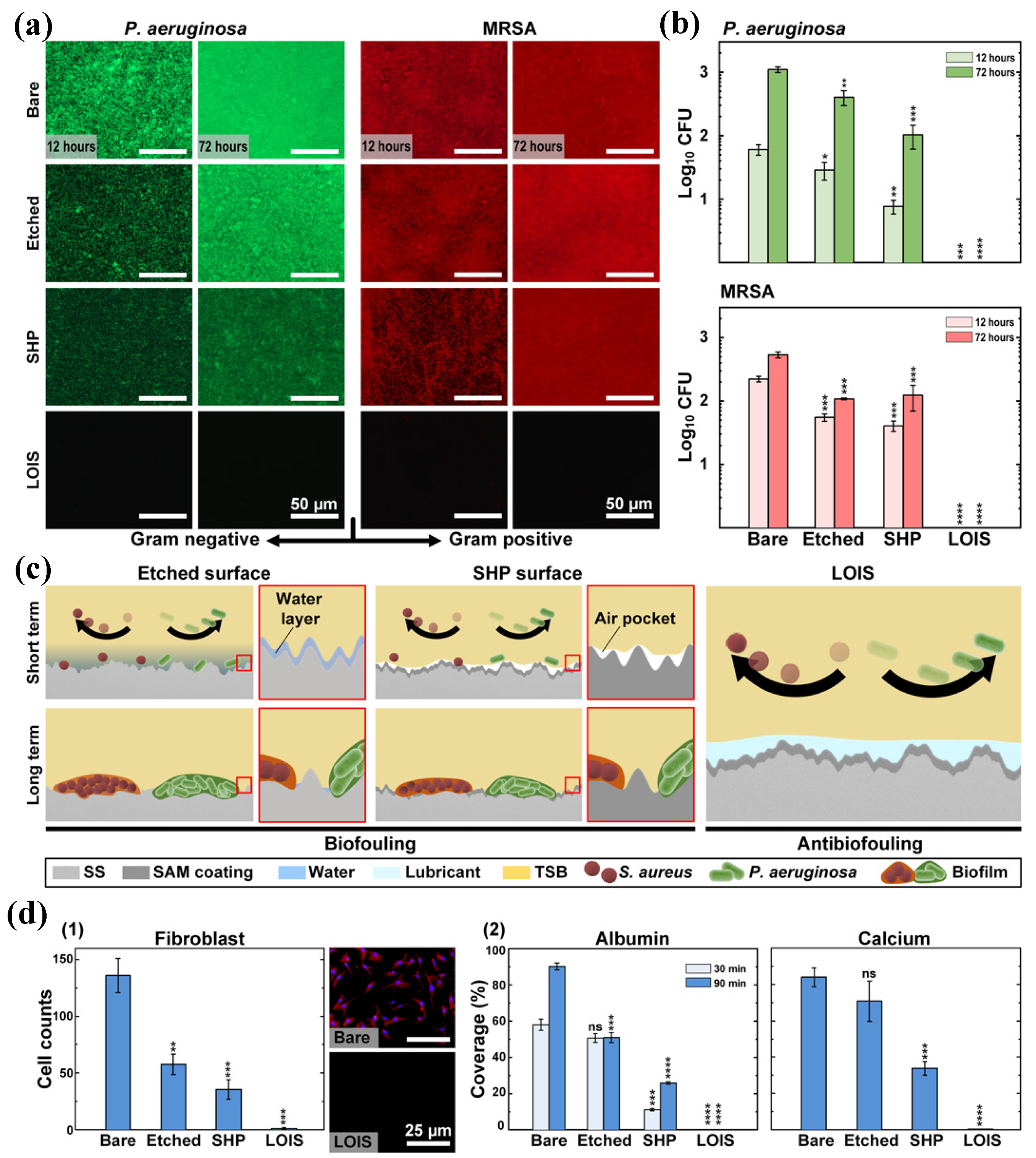Coatings 13 01486 g002