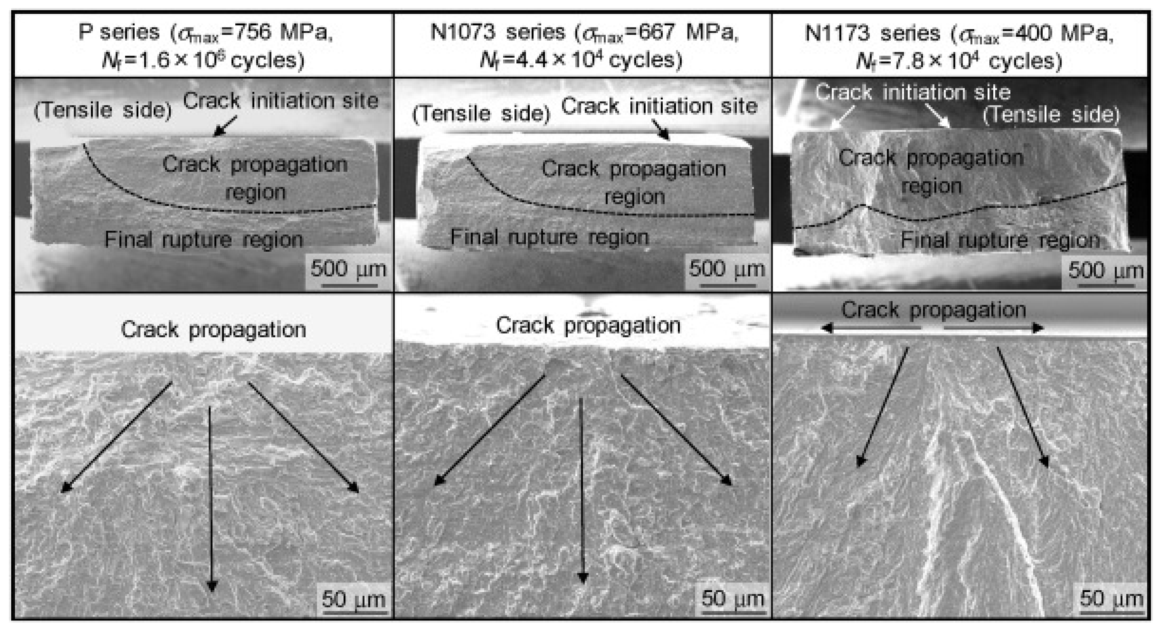 Coatings 13 01486 g005