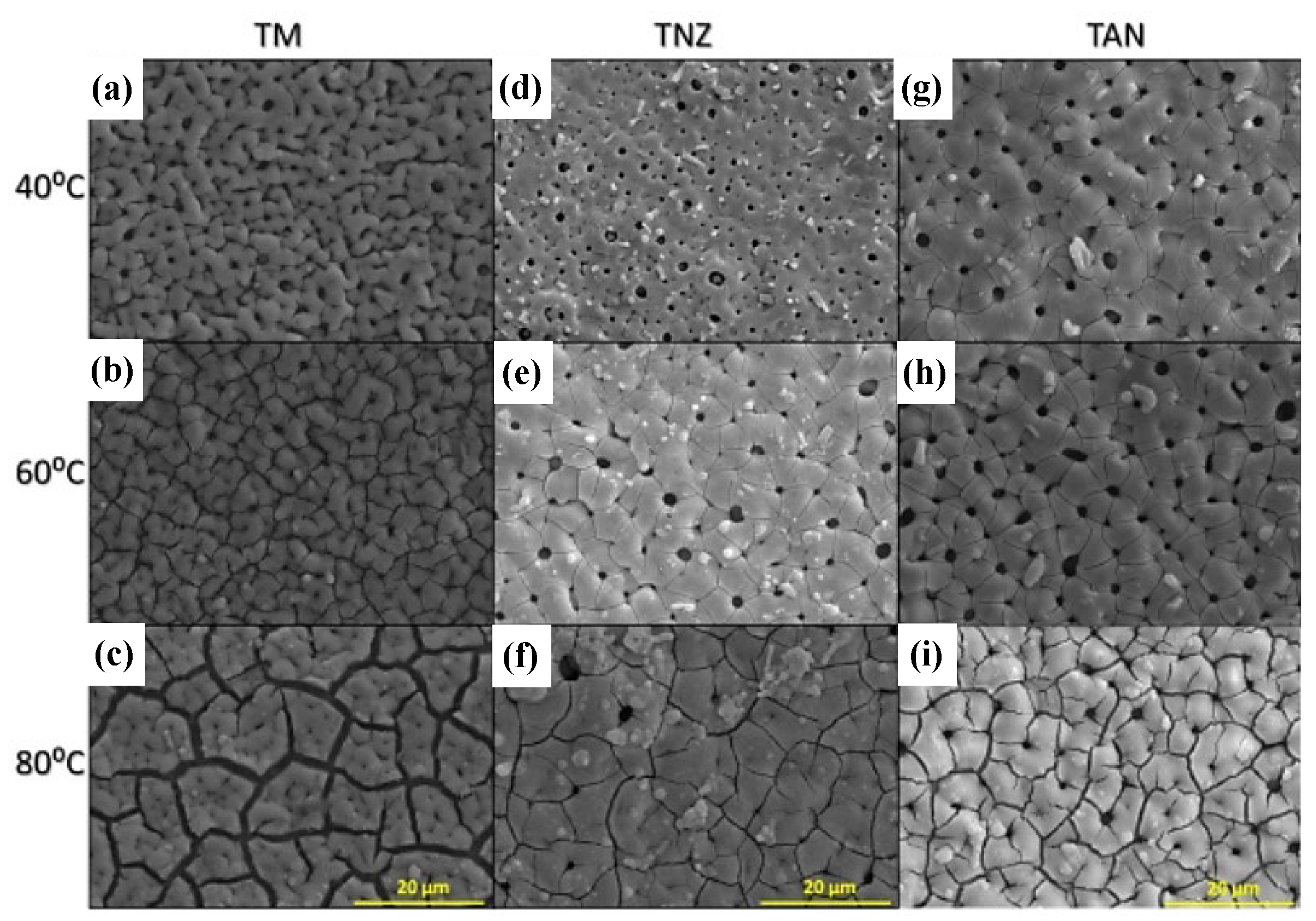 Coatings 13 01486 g007