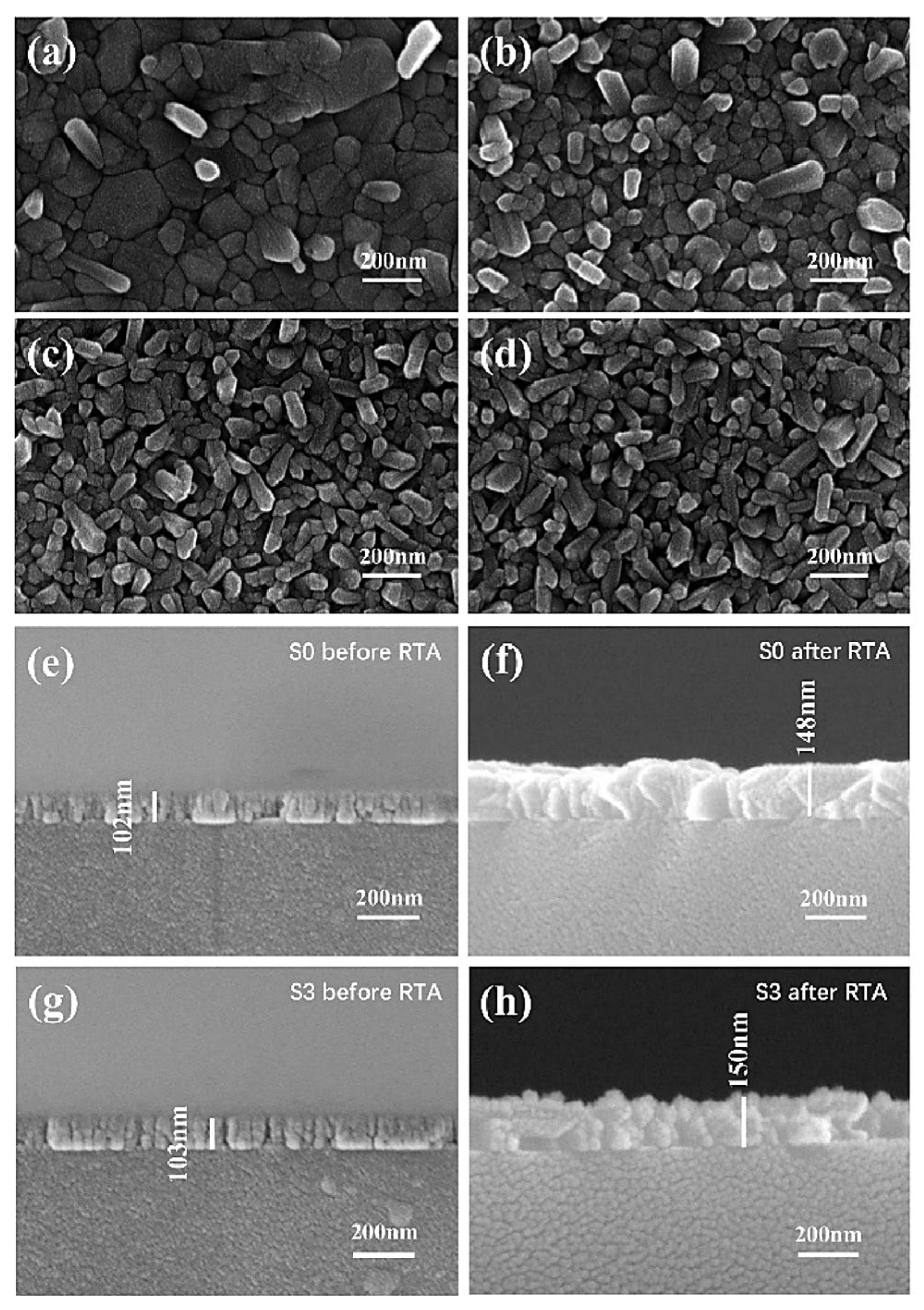 Coatings 13 01486 g008