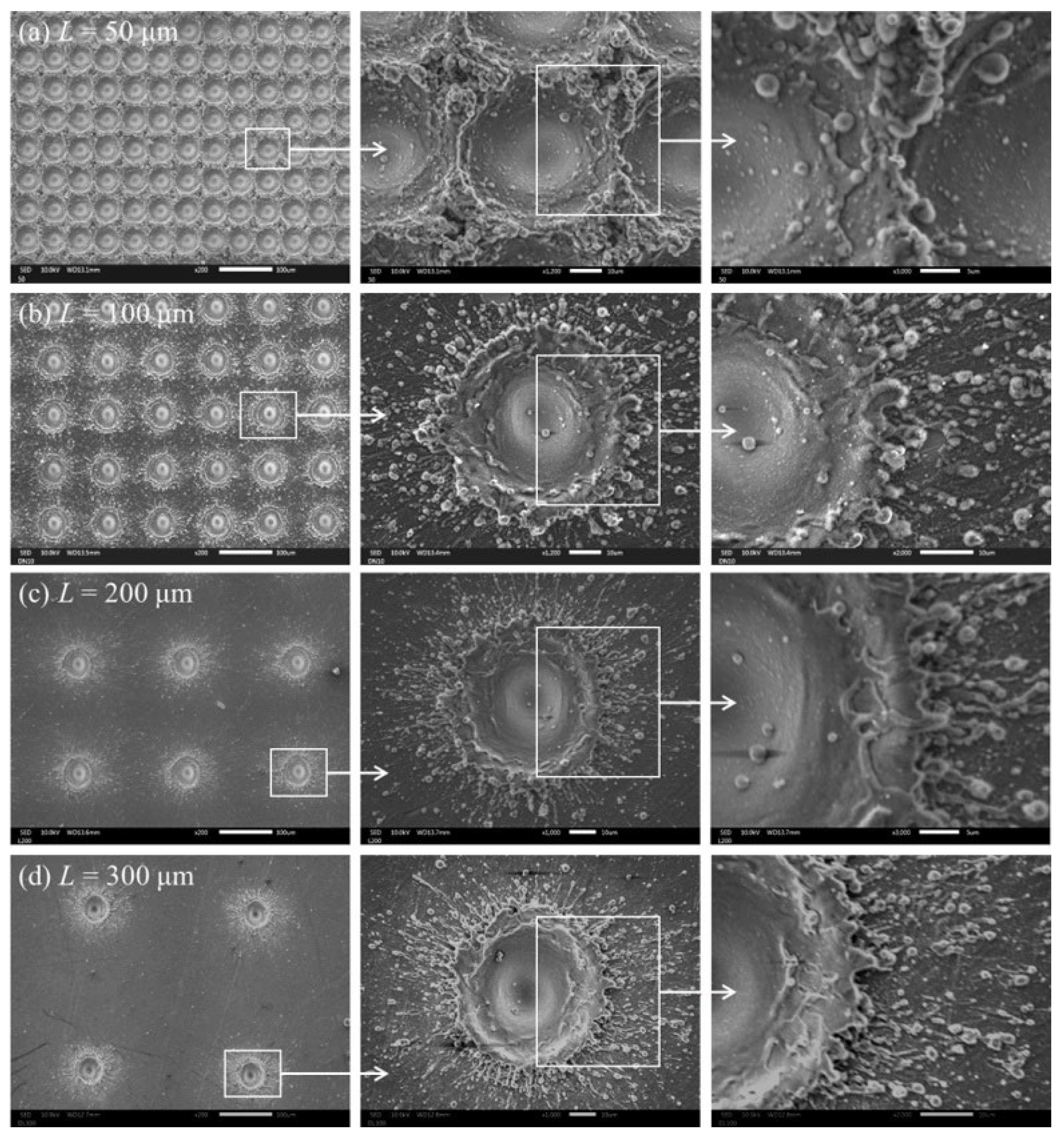 Coatings 13 01486 g009