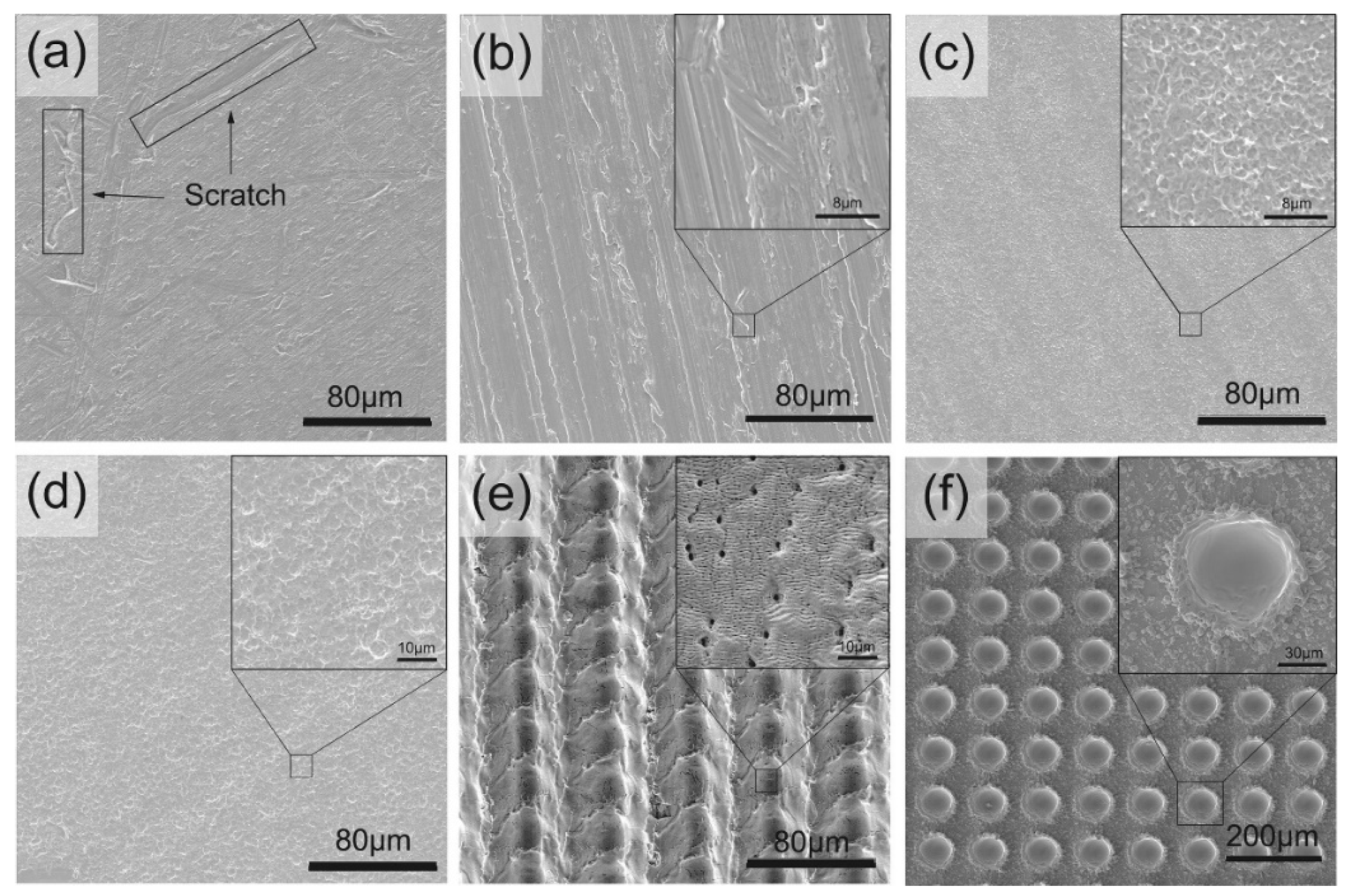 Coatings 13 01486 g010