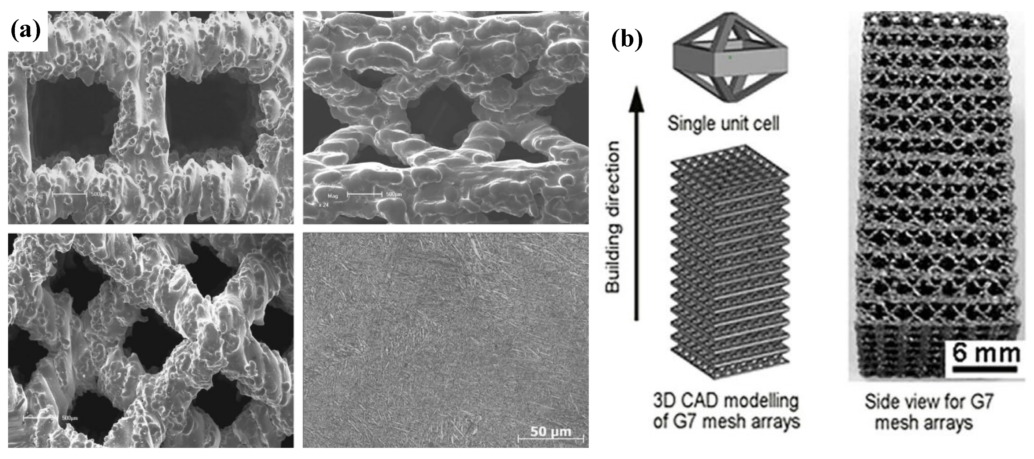 Coatings 13 01486 g011