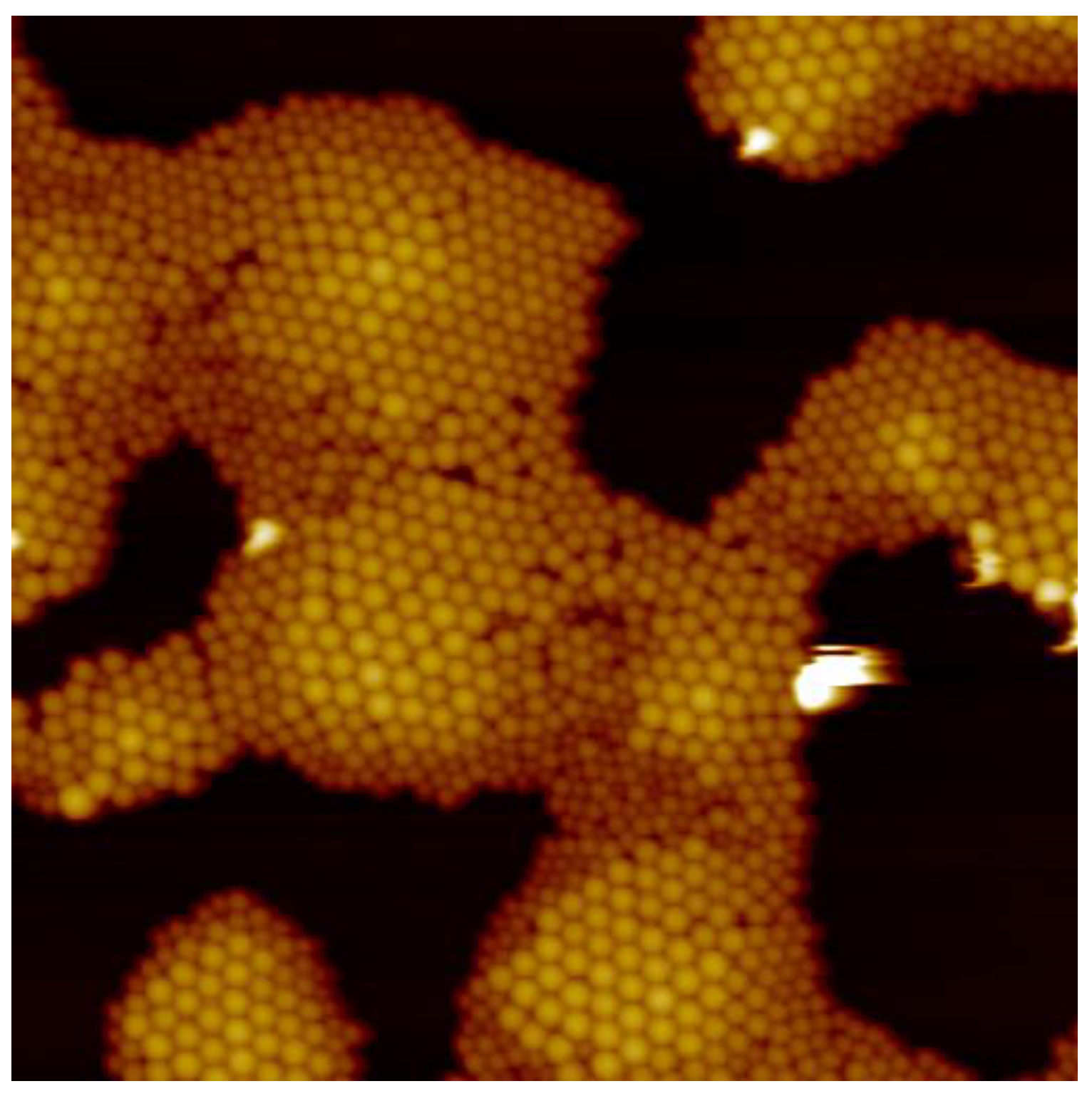 Coatings 13 01488 g004