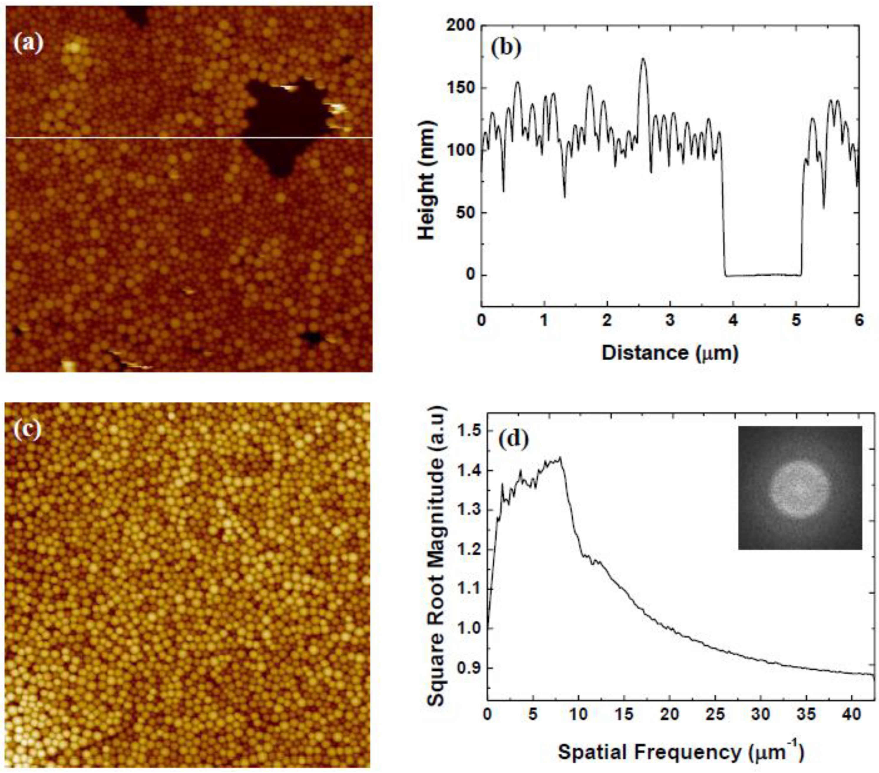 Coatings 13 01488 g005