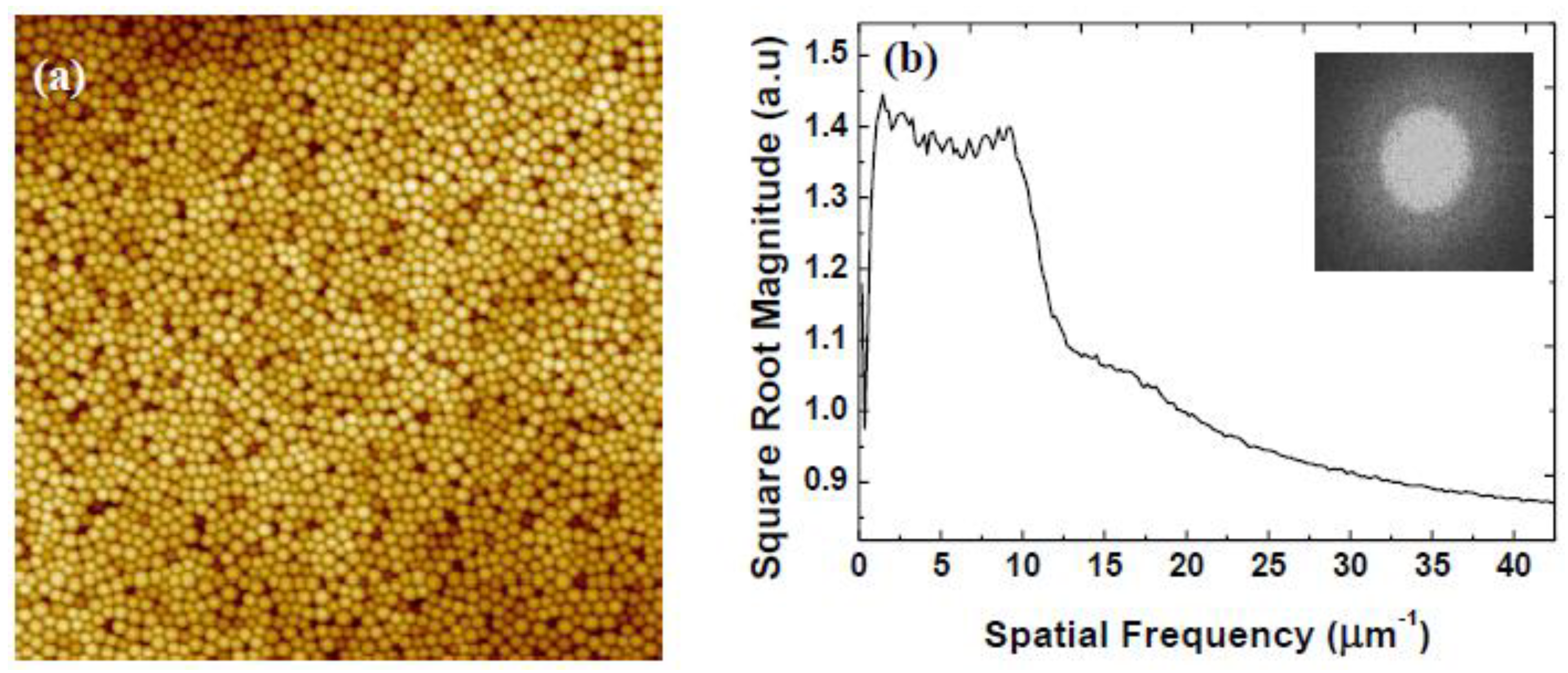 Coatings 13 01488 g006