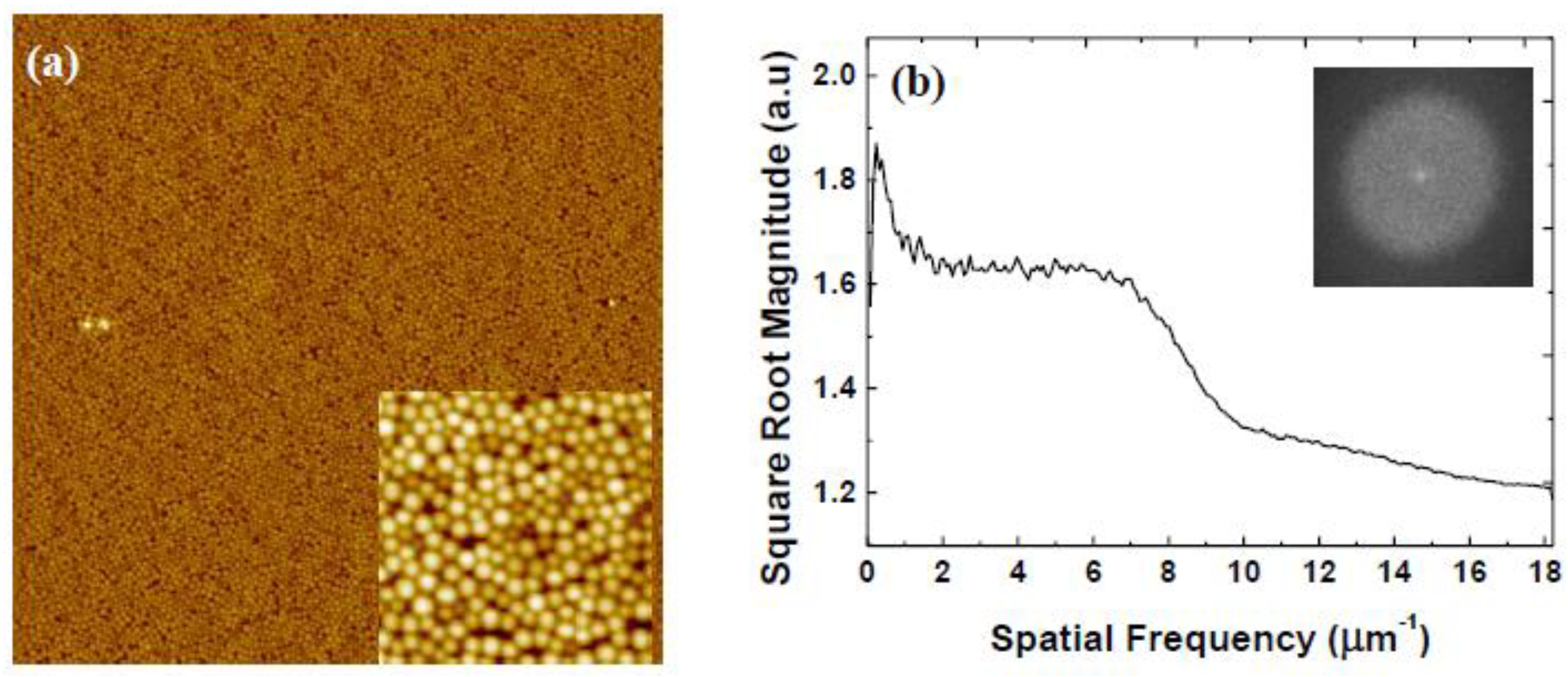Coatings 13 01488 g009