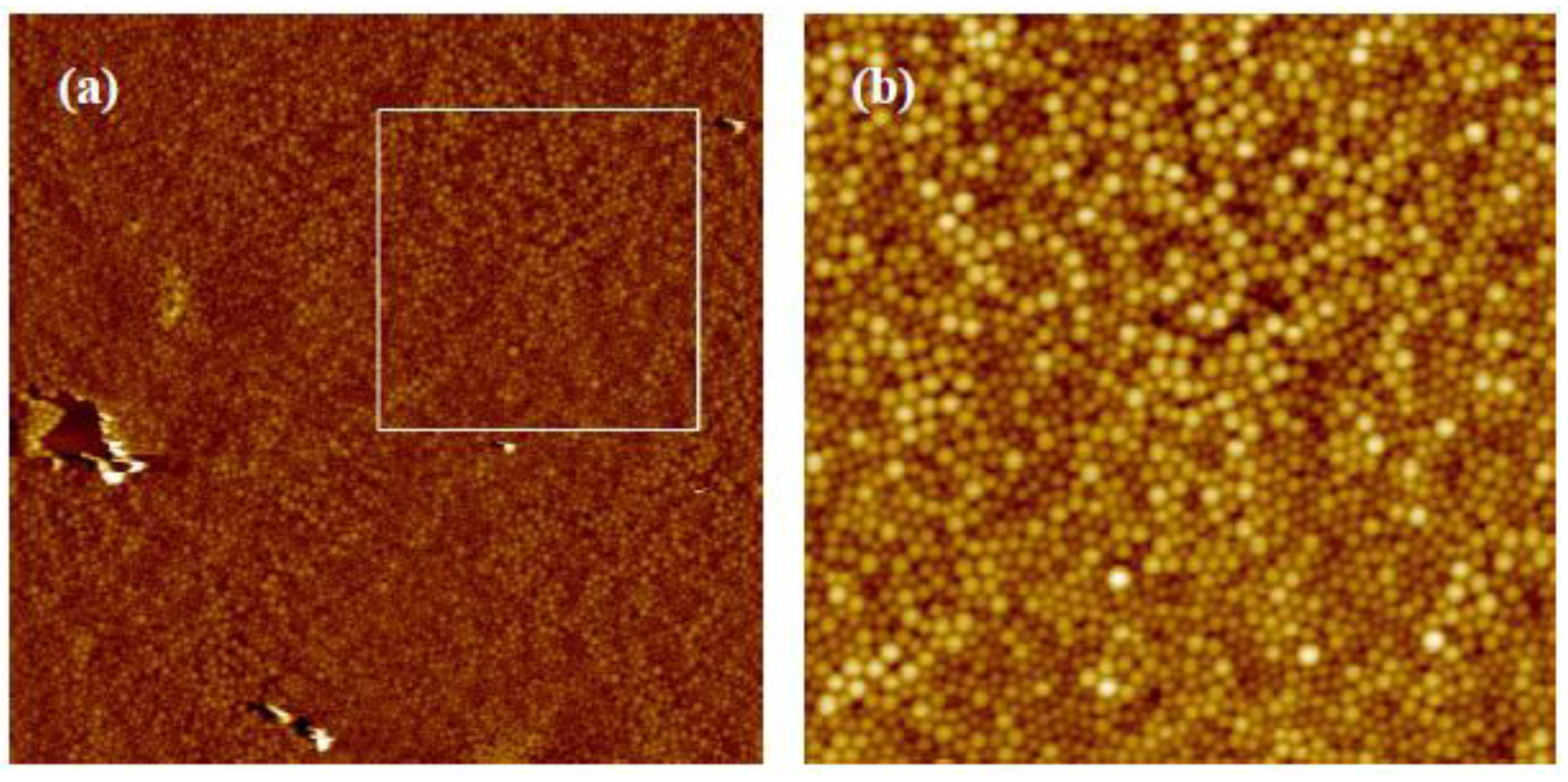 Coatings 13 01488 g012