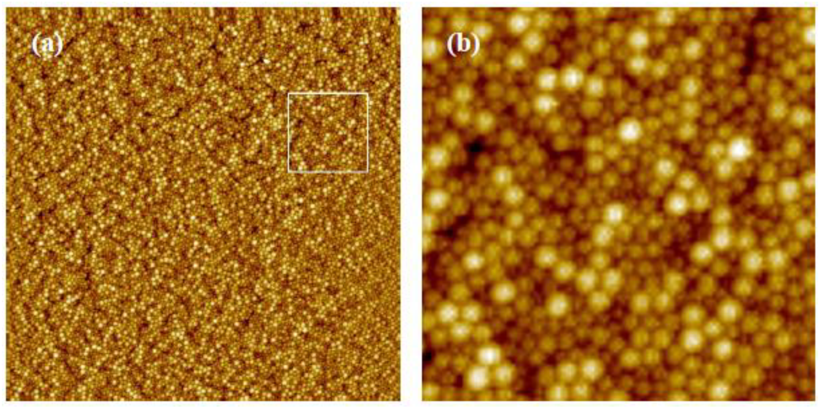 Coatings 13 01488 g013