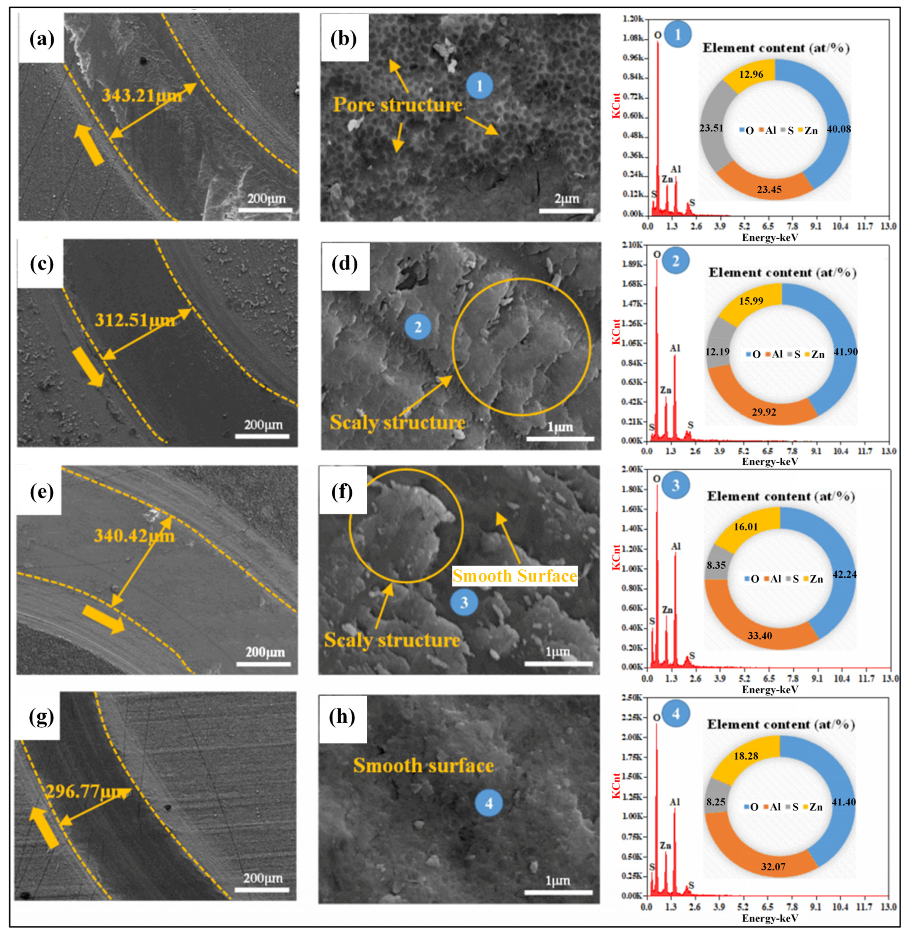 Coatings 13 01511 g010
