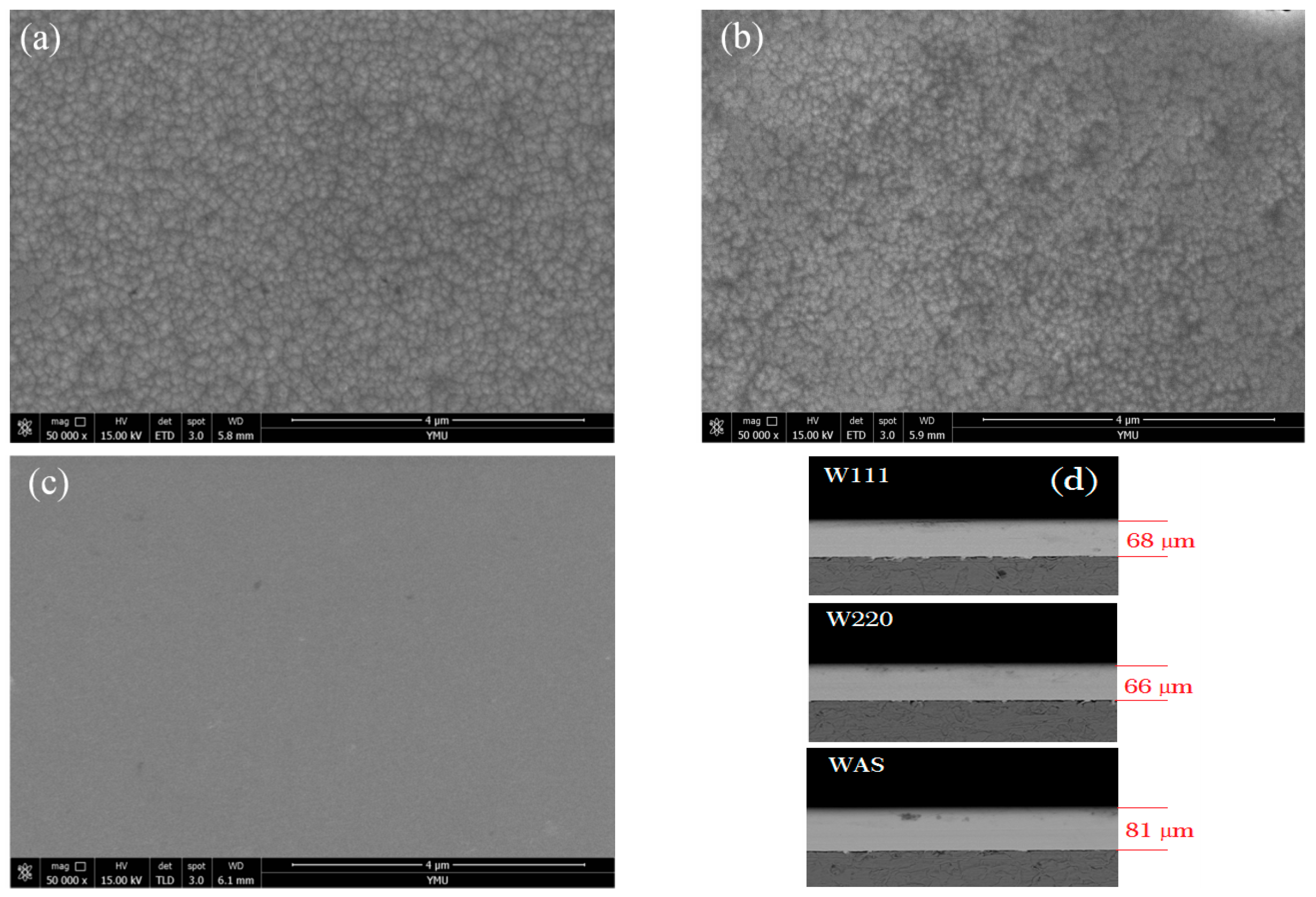 Coatings 13 01519 g003