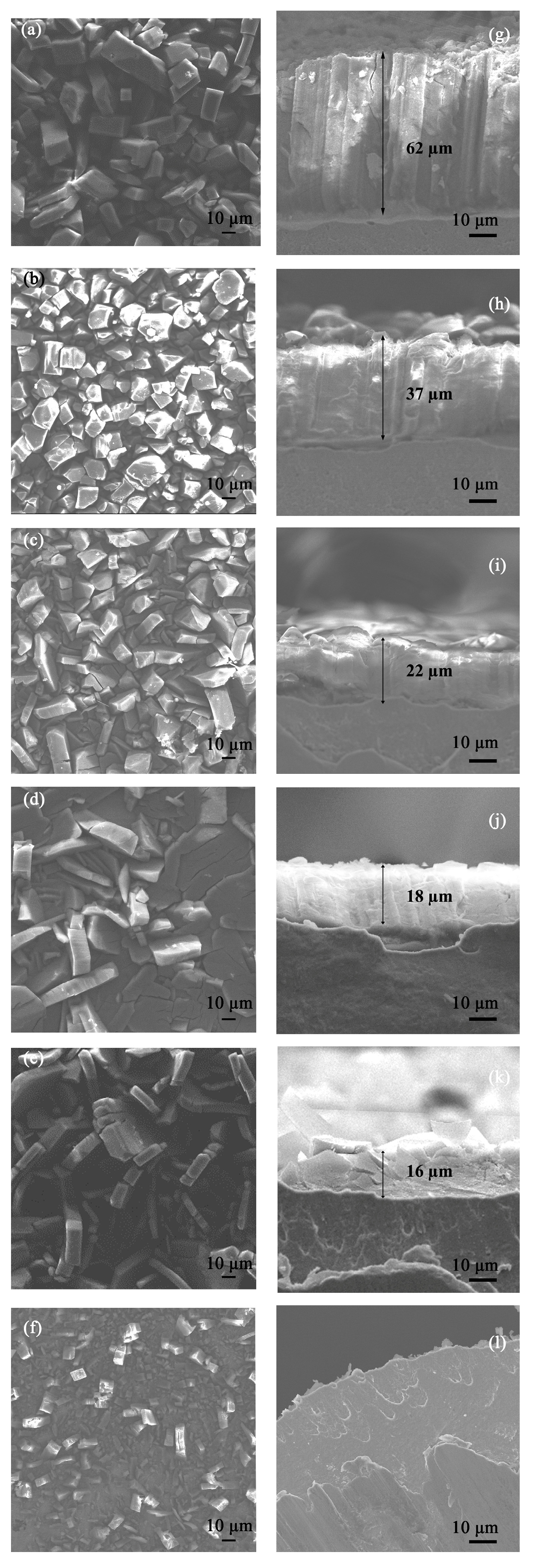 Coatings 13 01520 g003