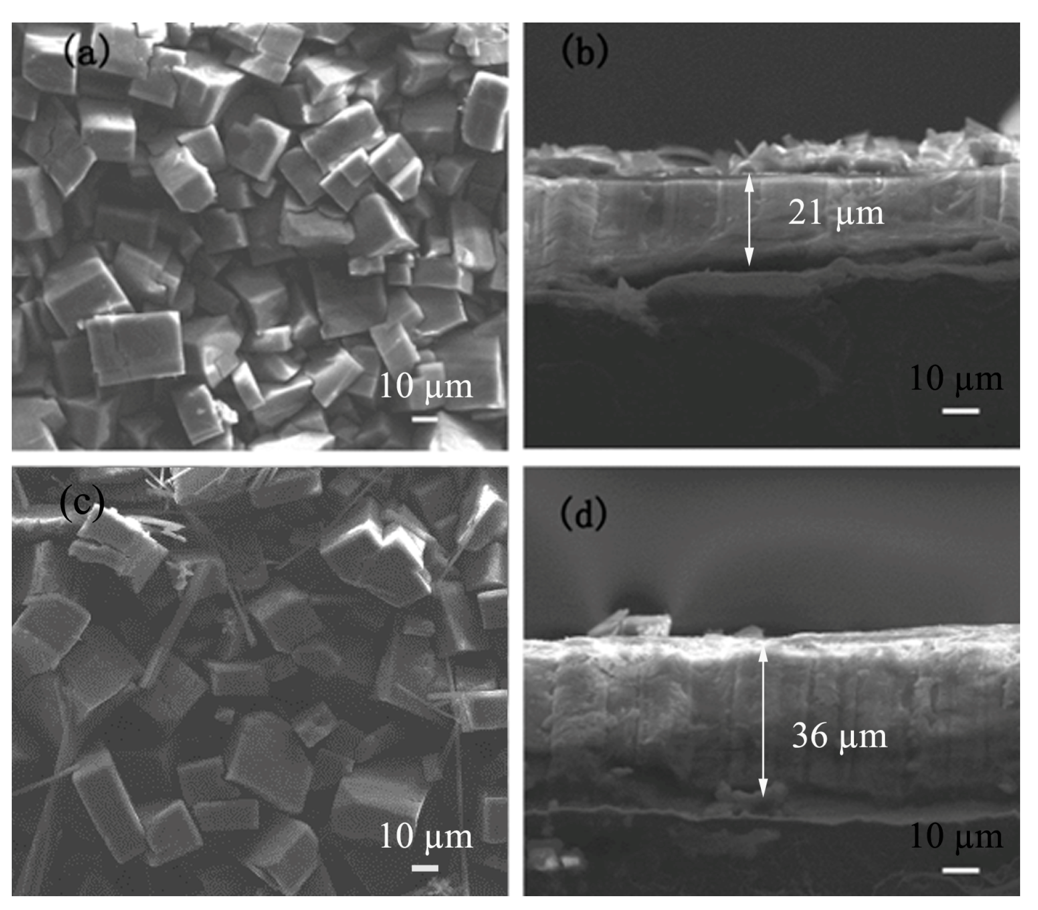 Coatings 13 01520 g006