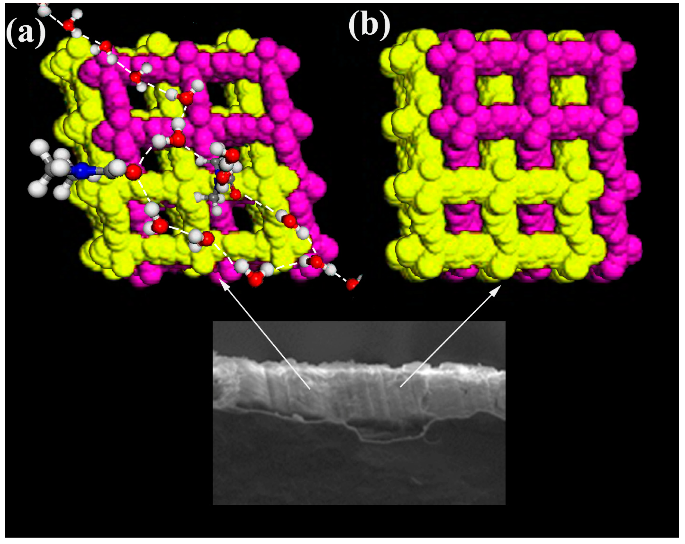 Coatings 13 01520 sch001