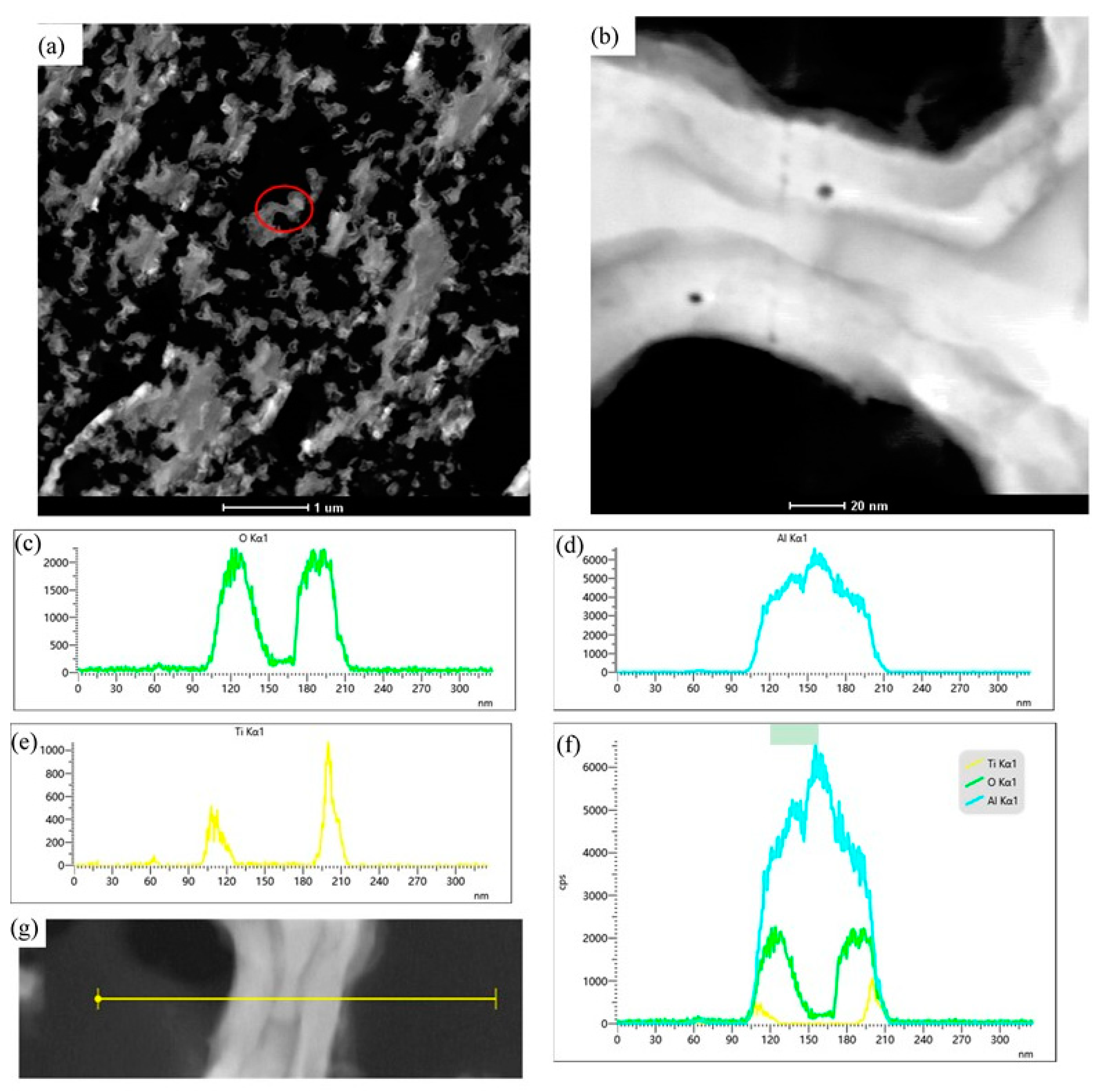 Coatings 13 01526 g006