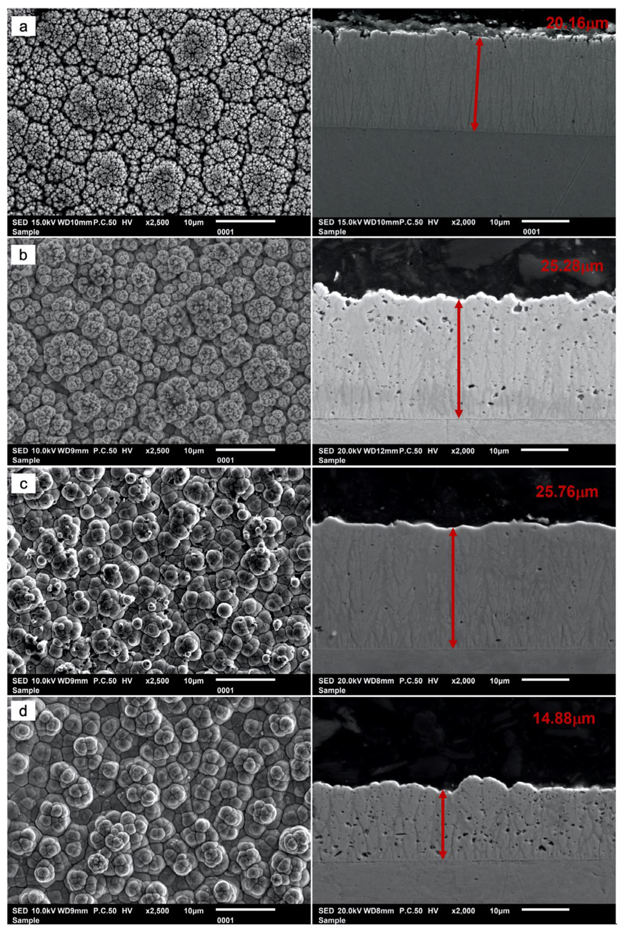 Coatings 13 01535 g004